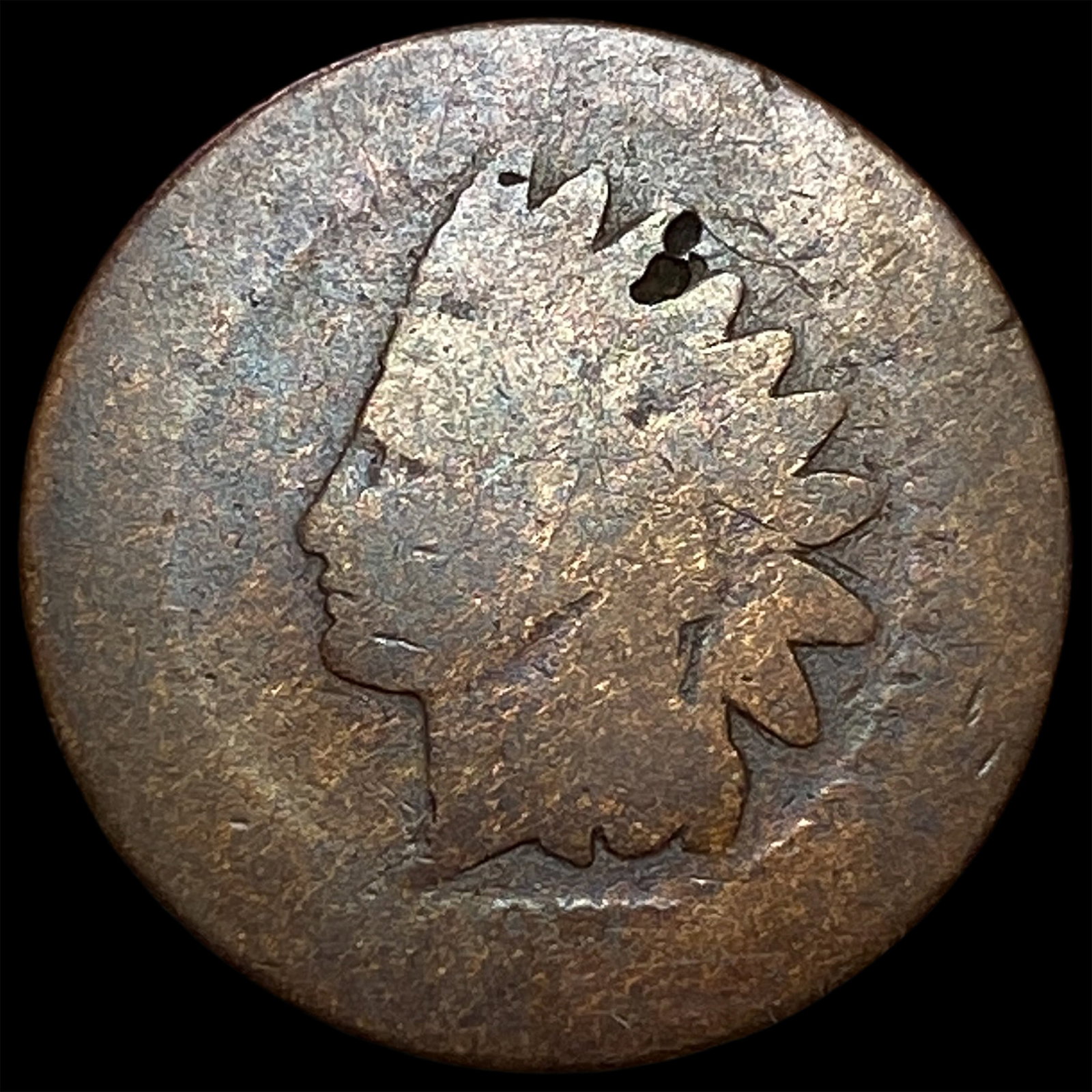 1877 Indian Head Cent NICELY CIRCULATED: 1877 Indian Head Cent NICELY CIRCULATED
