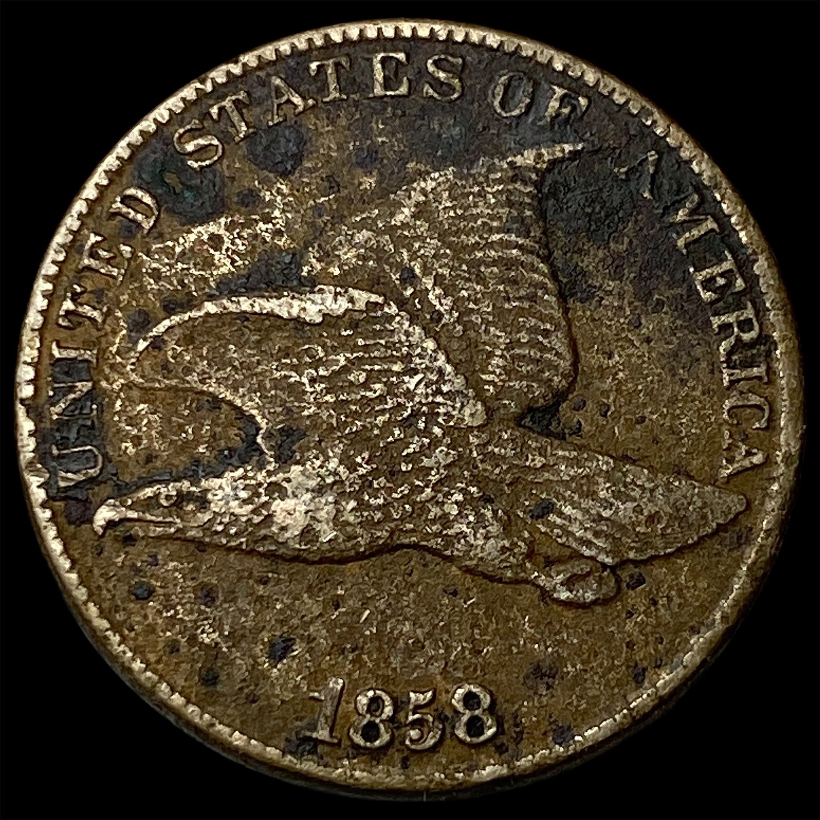 1858 Flying Eagle Cent NEARLY UNCIRCULATED: 1858 Flying Eagle Cent NEARLY UNCIRCULATED