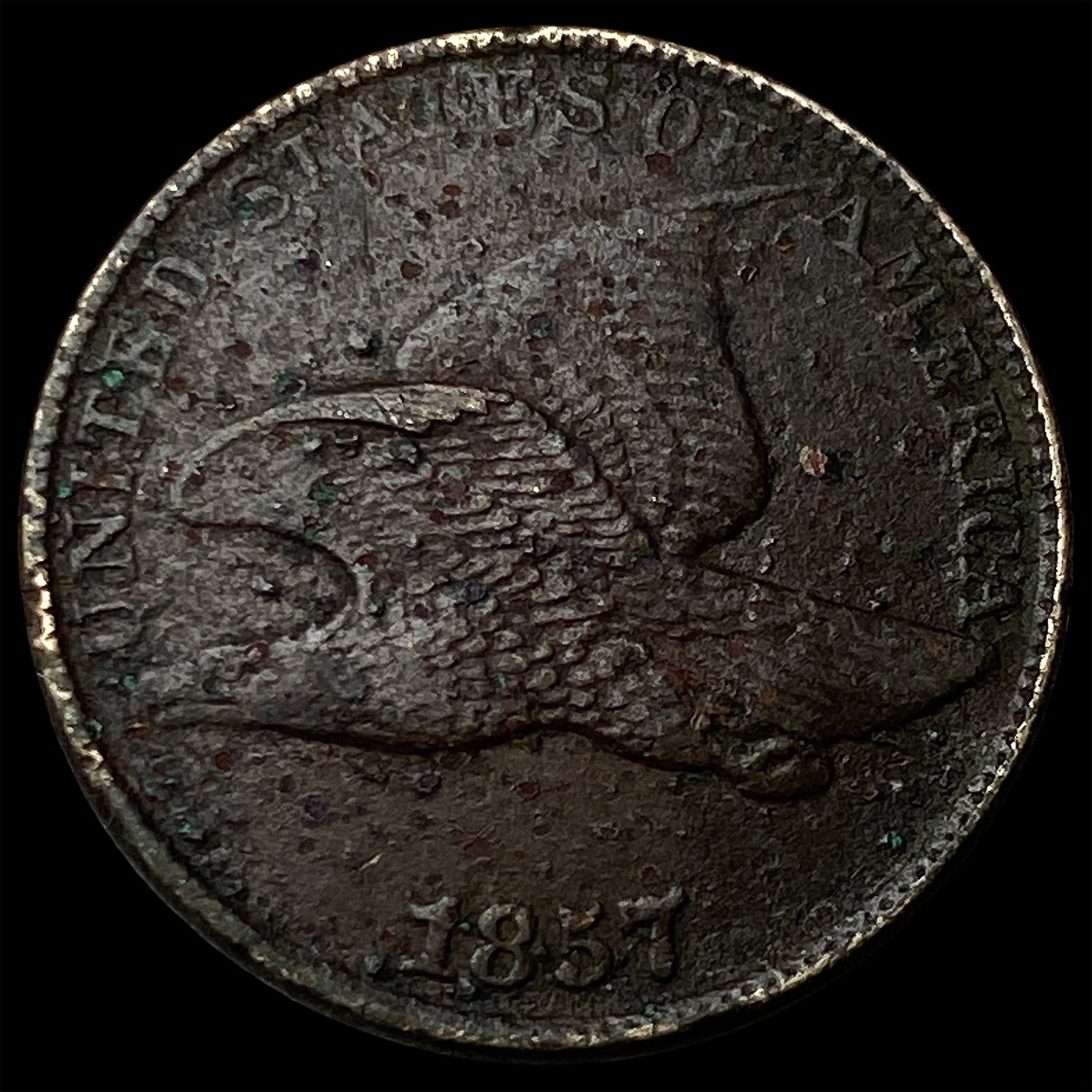 1857 Flying Eagle Cent LIGHTLY CIRCULATED: 1857 Flying Eagle Cent LIGHTLY CIRCULATED