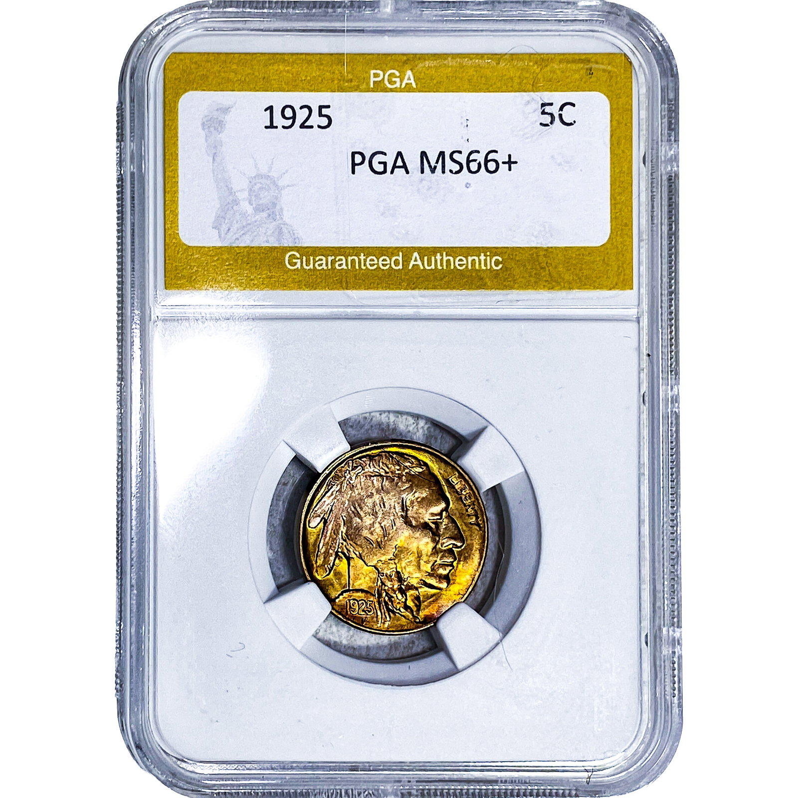 1925 Buffalo Nickel PGA MS66+: 1925 Buffalo Nickel PGA MS66+