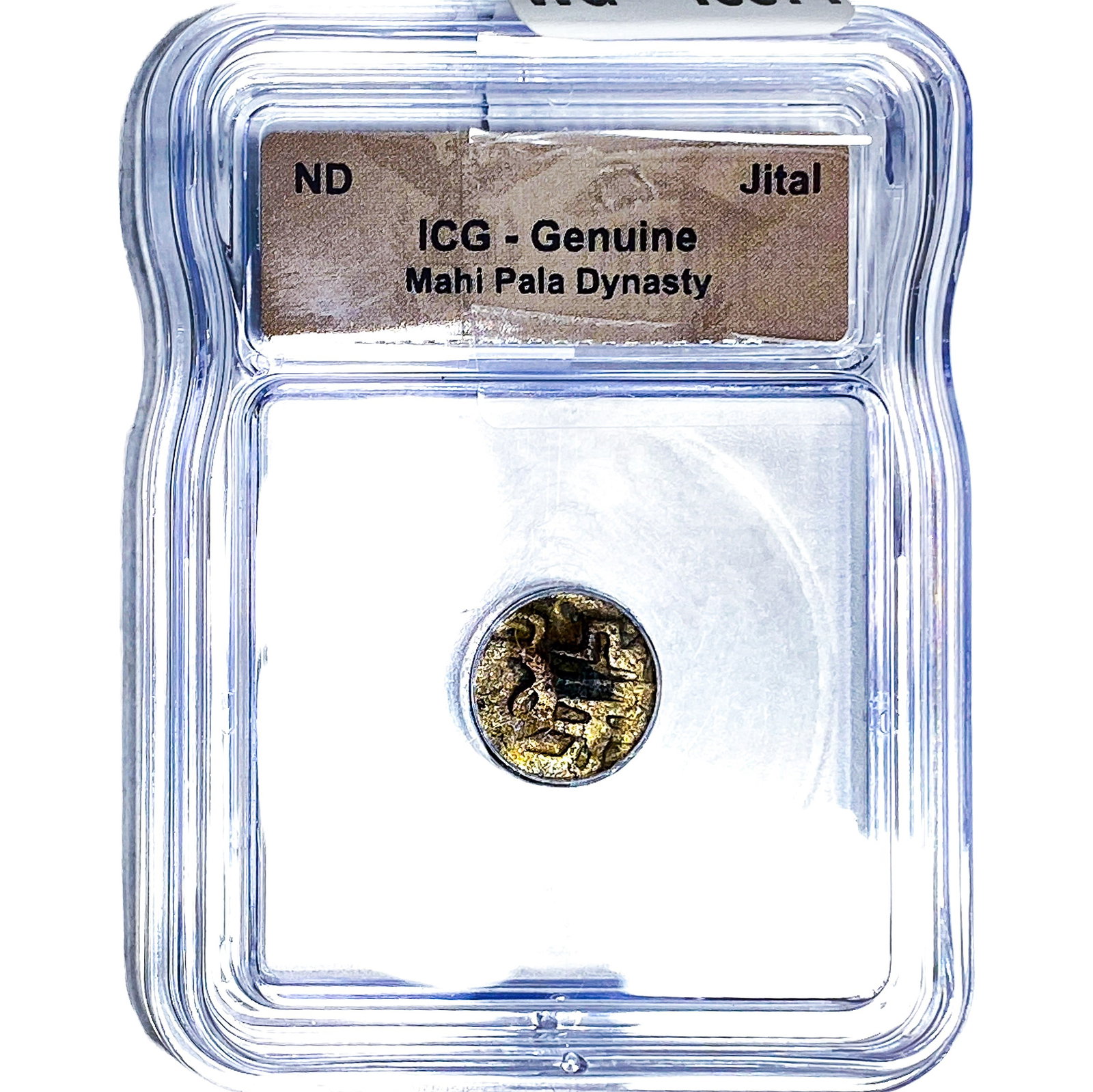 Jital Mahi Pala Dynasty ICG: Jital Mahi Pala Dynasty ICG