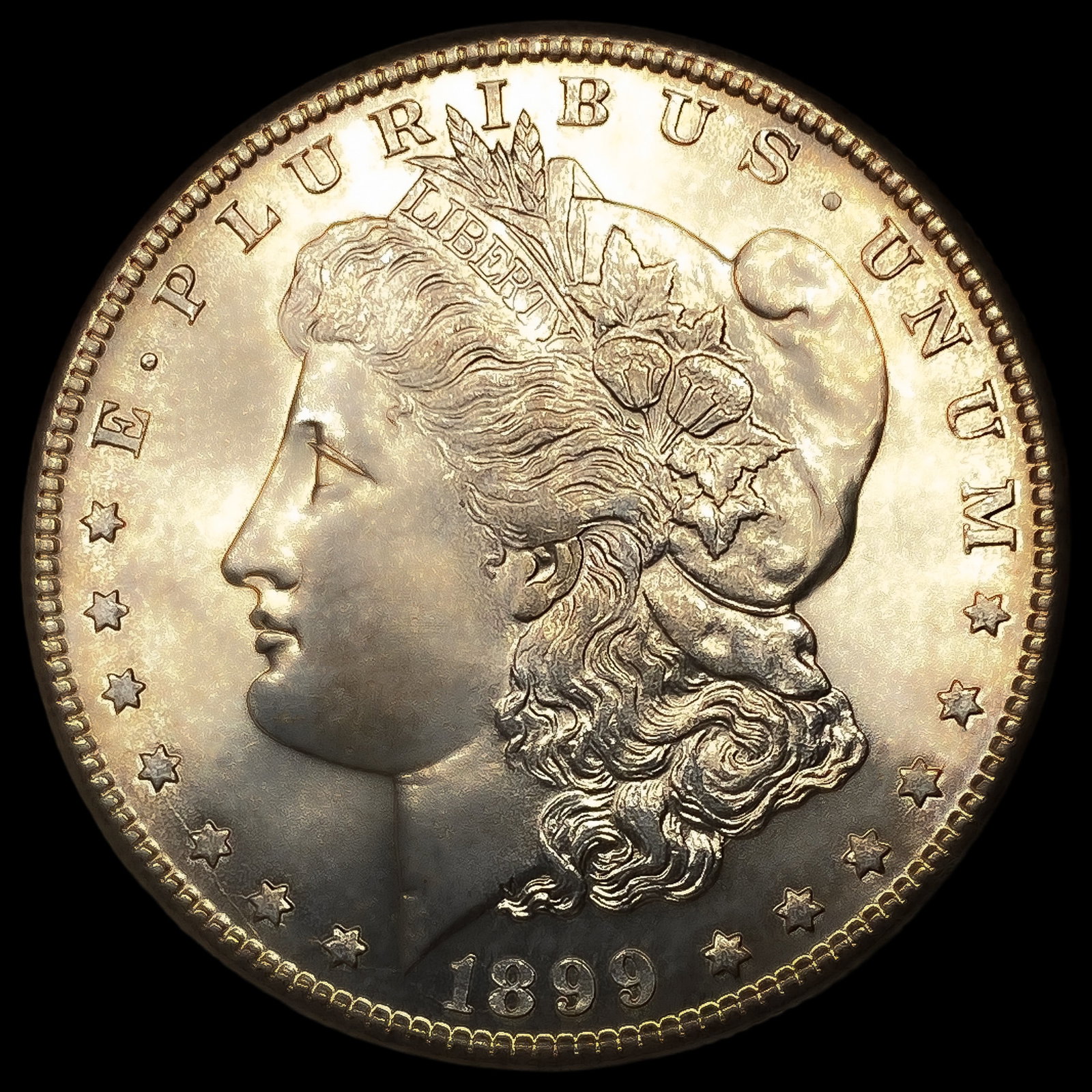 1899-S Morgan Silver Dollar (1 of 2)