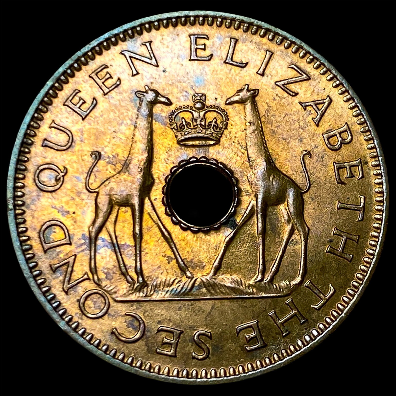 1957 Rhodesia & Nyasaland Bronze 1/2 Penny (1 of 2)