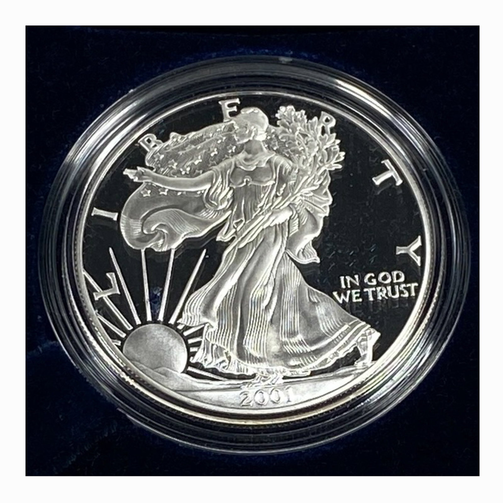 2001 American Eagle 1 oz Silver Proof Coin (1 of 2)