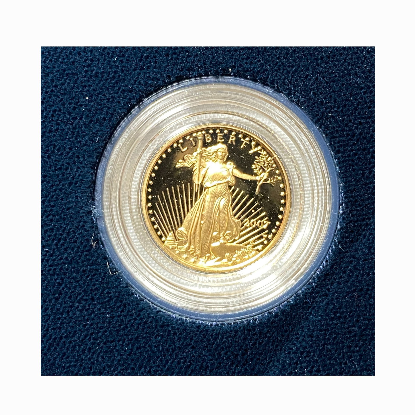 2007 American Eagle 1/10 oz Gold Proof Coin (1 of 2)