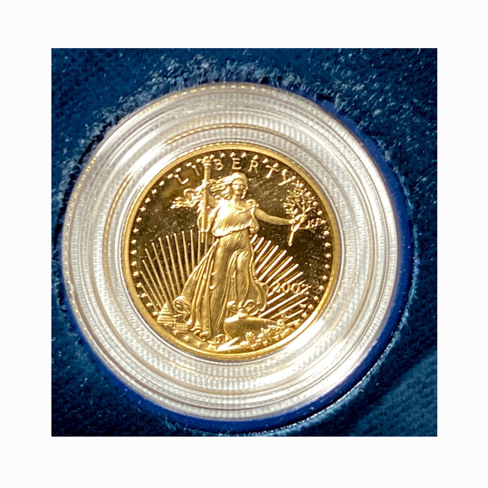2002 American Eagle 1/10 oz Gold Proof Coin (1 of 2)