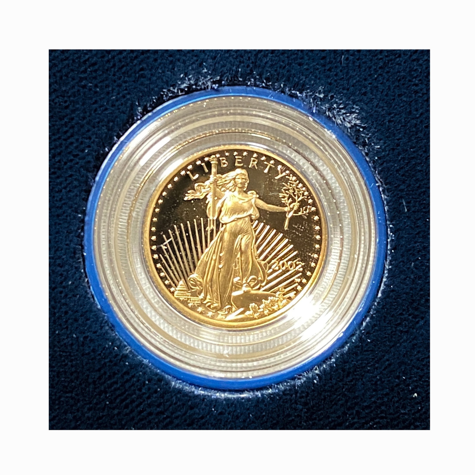 2002 American Eagle 1/10 oz Gold Proof Coin (1 of 2)