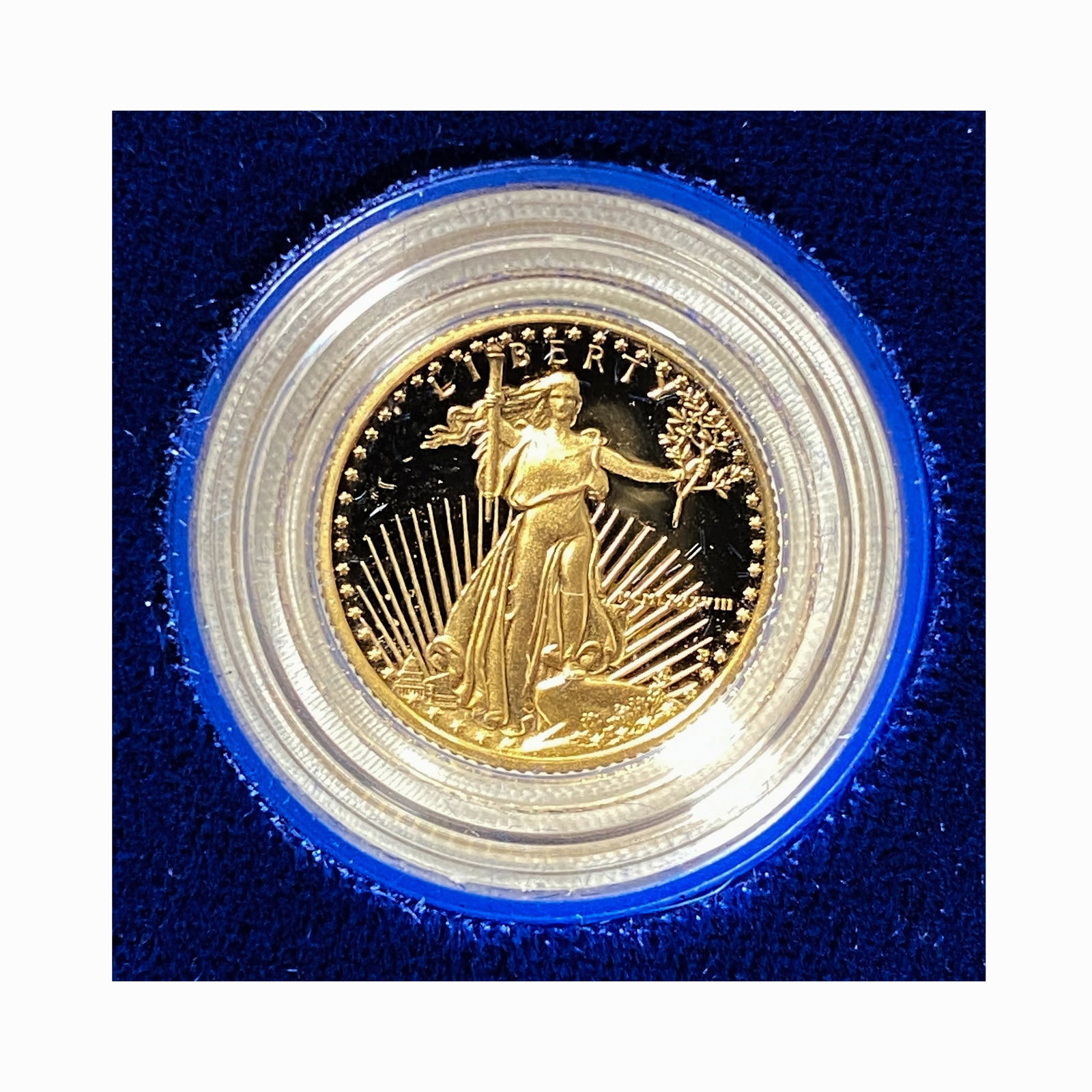 1988 American Eagle 1/10 oz Gold Proof Coin (1 of 2)