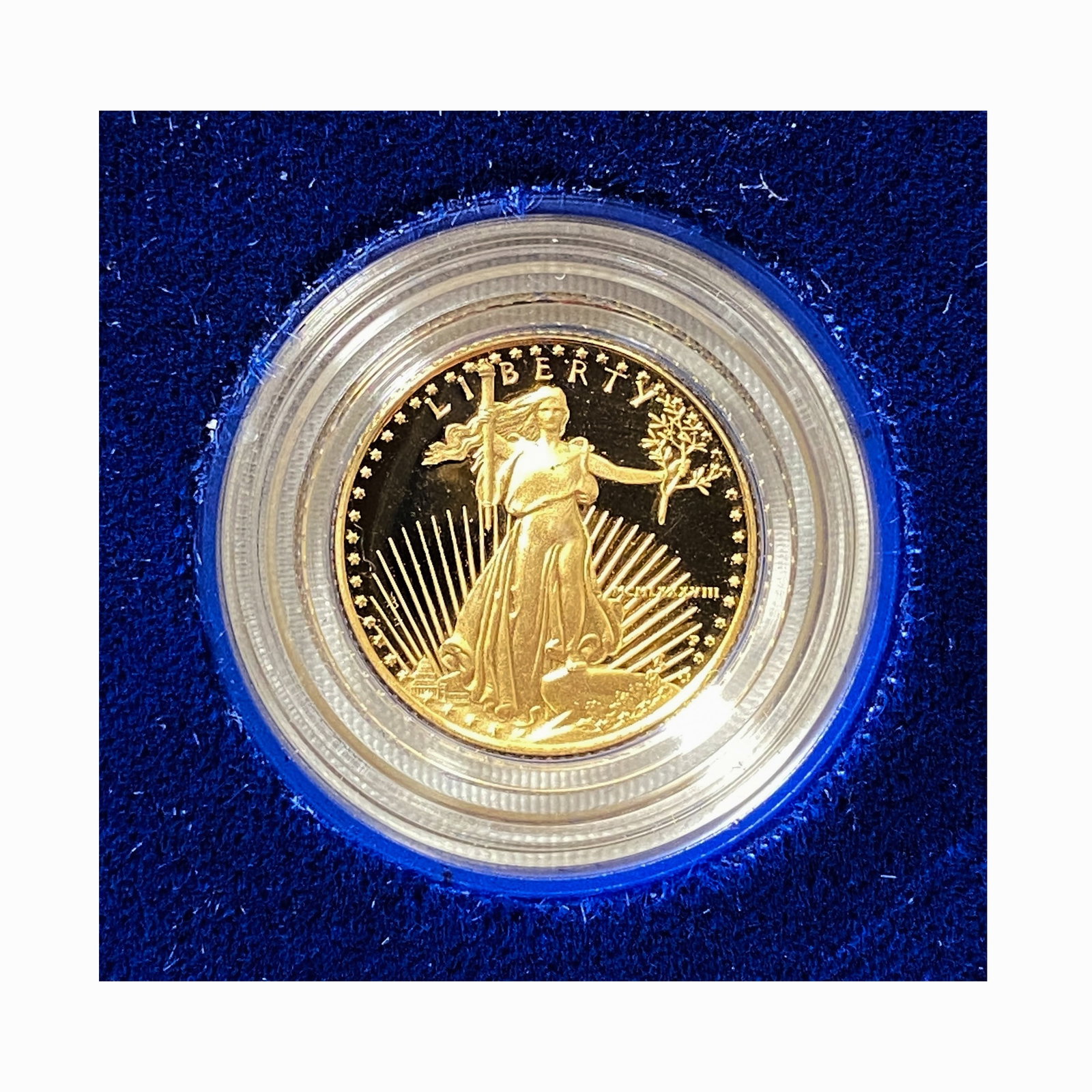 1988 American Eagle 1/10 oz Gold Proof Coin (1 of 2)