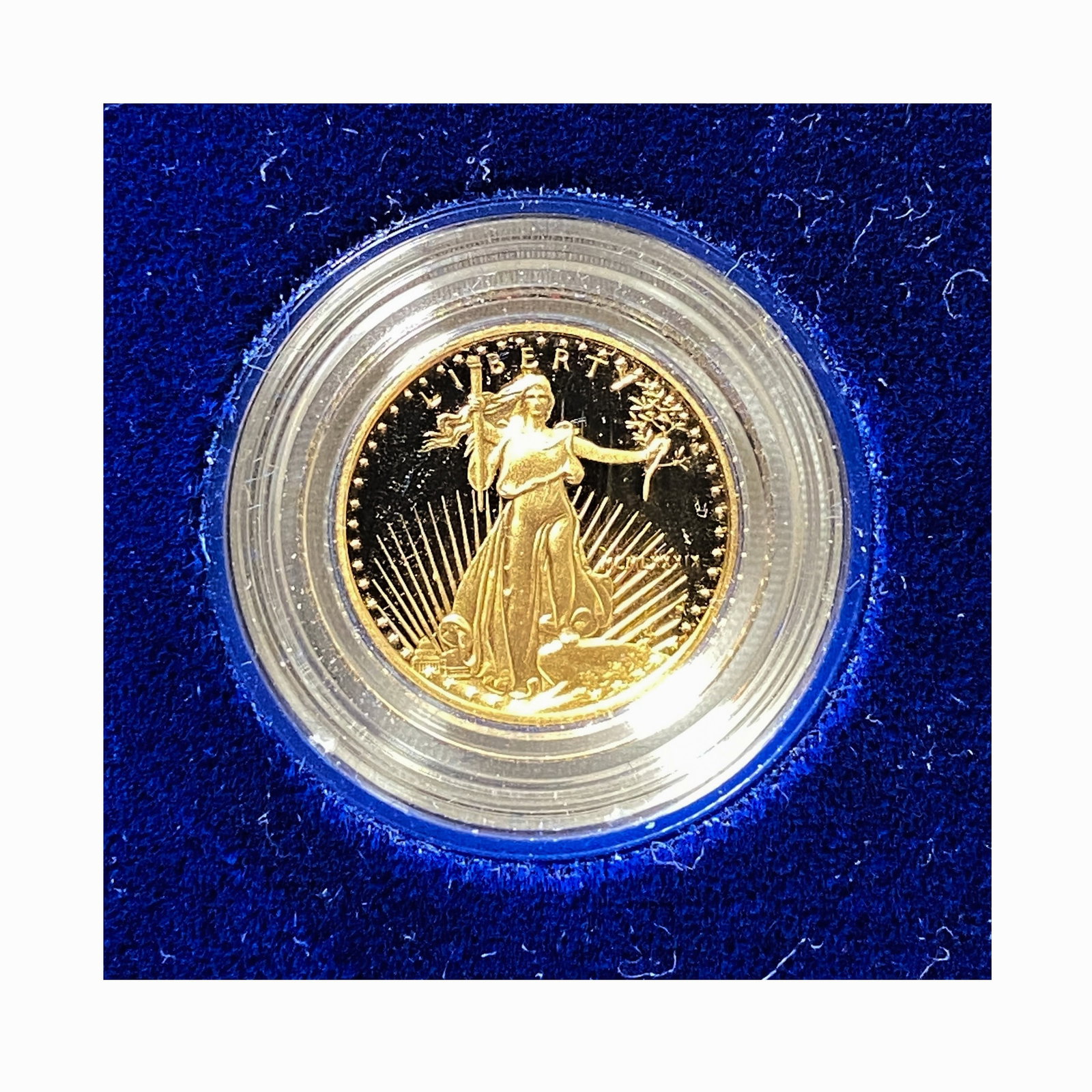 1989 American Eagle 1/10 oz Gold Proof Coin (1 of 2)