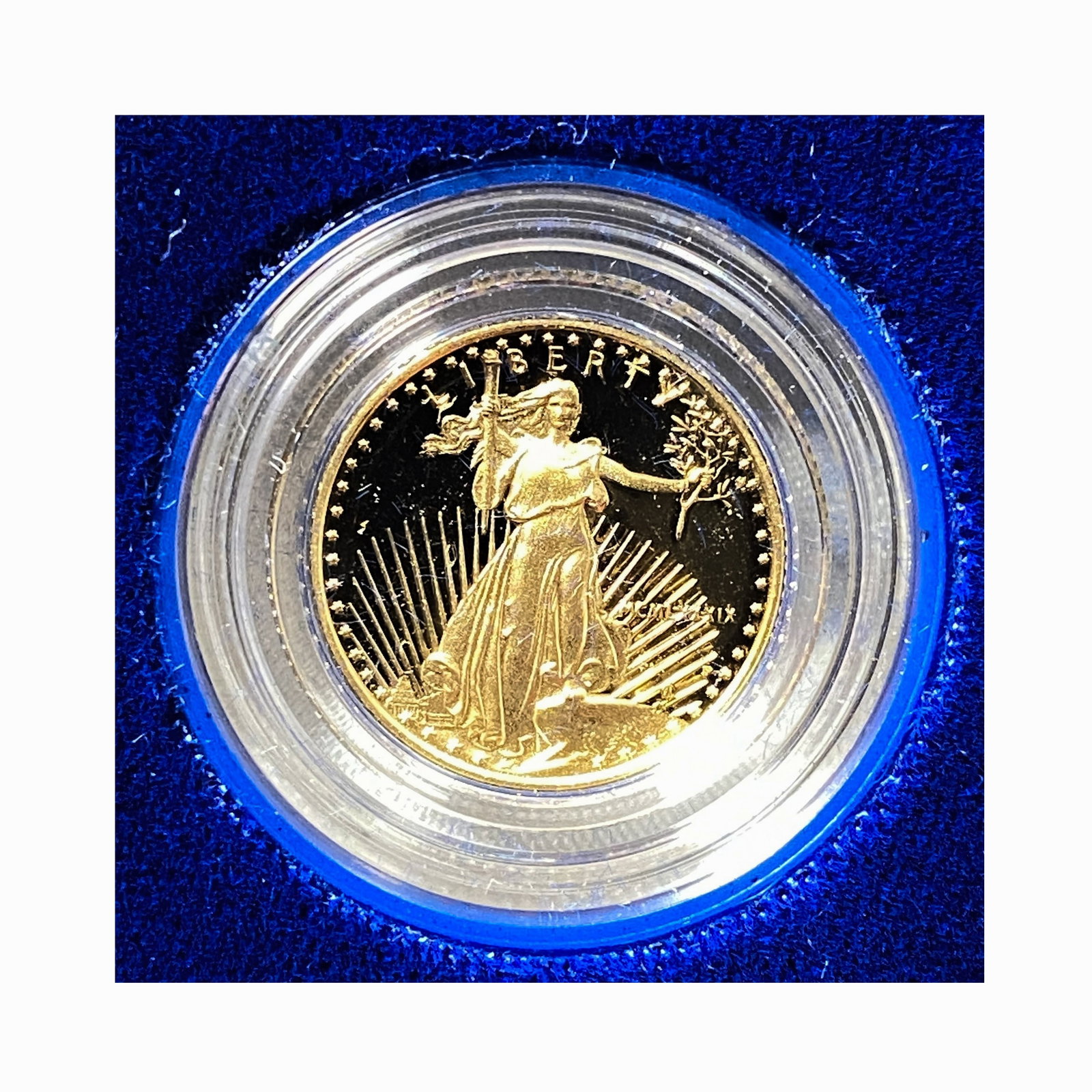 1989 American Eagle 1/10 oz Gold Proof Coin (1 of 2)