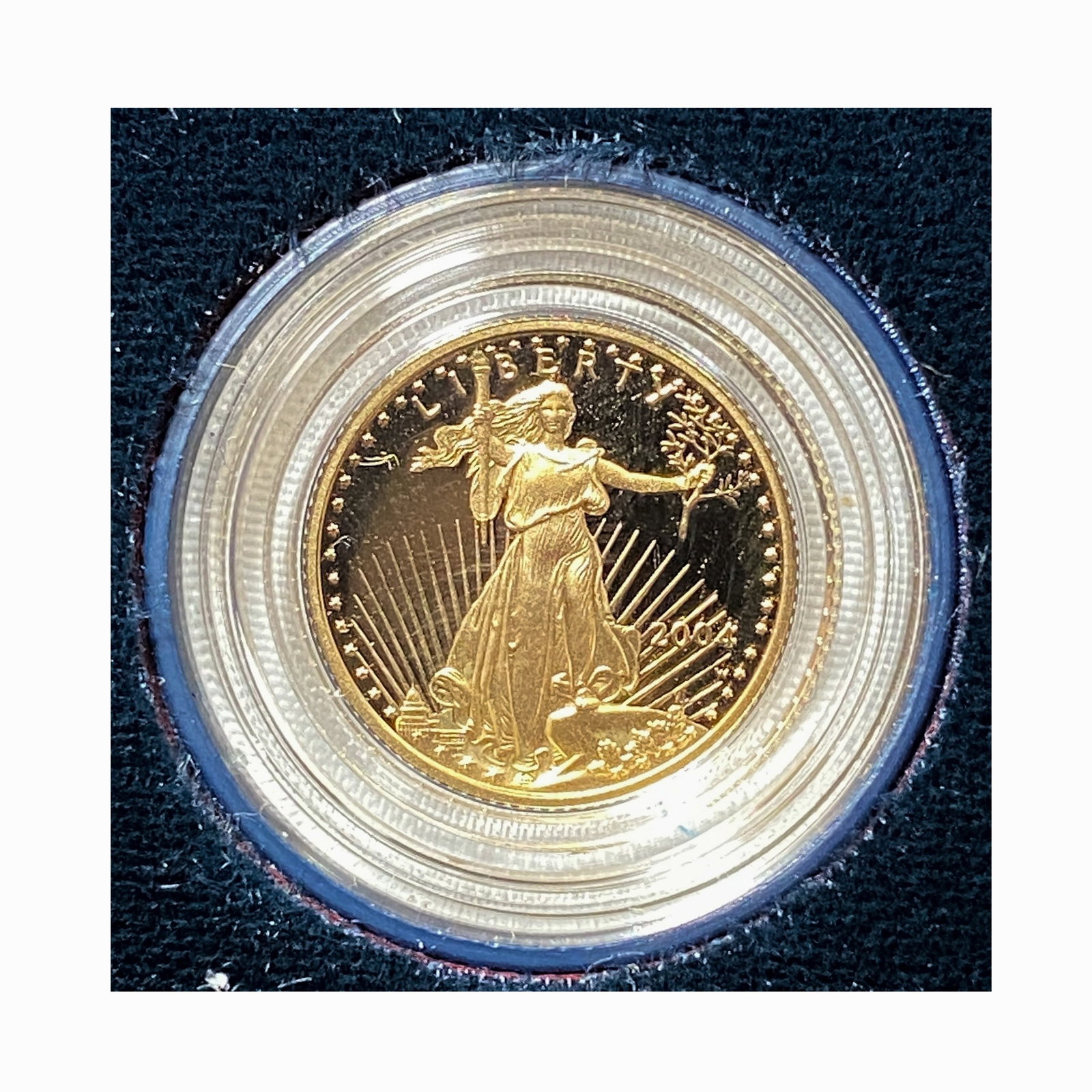 2004 American Eagle 1/10 oz Gold Proof Coin (1 of 2)