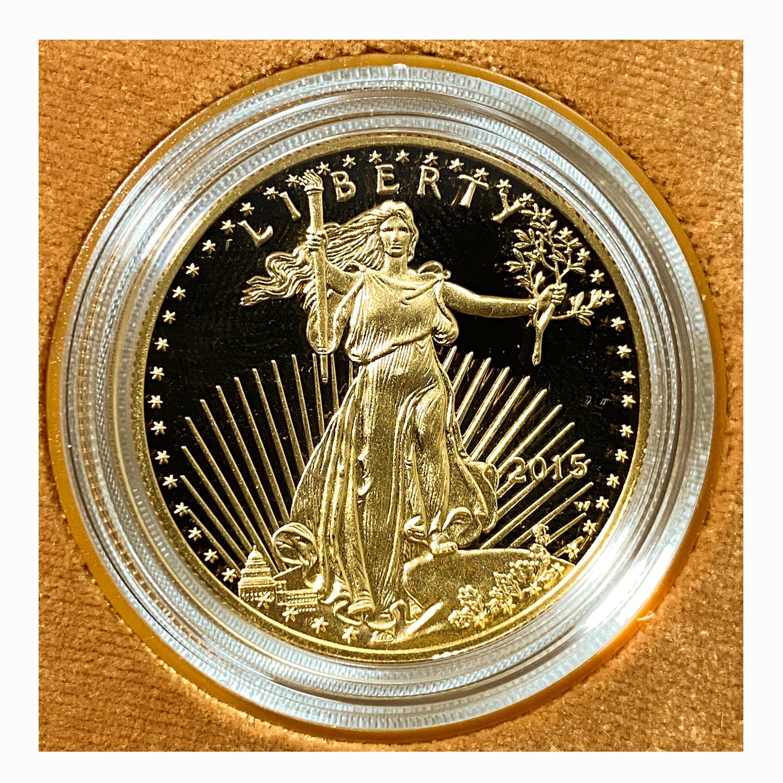 2015 American Eagle 1 oz Gold Proof Coin (1 of 2)