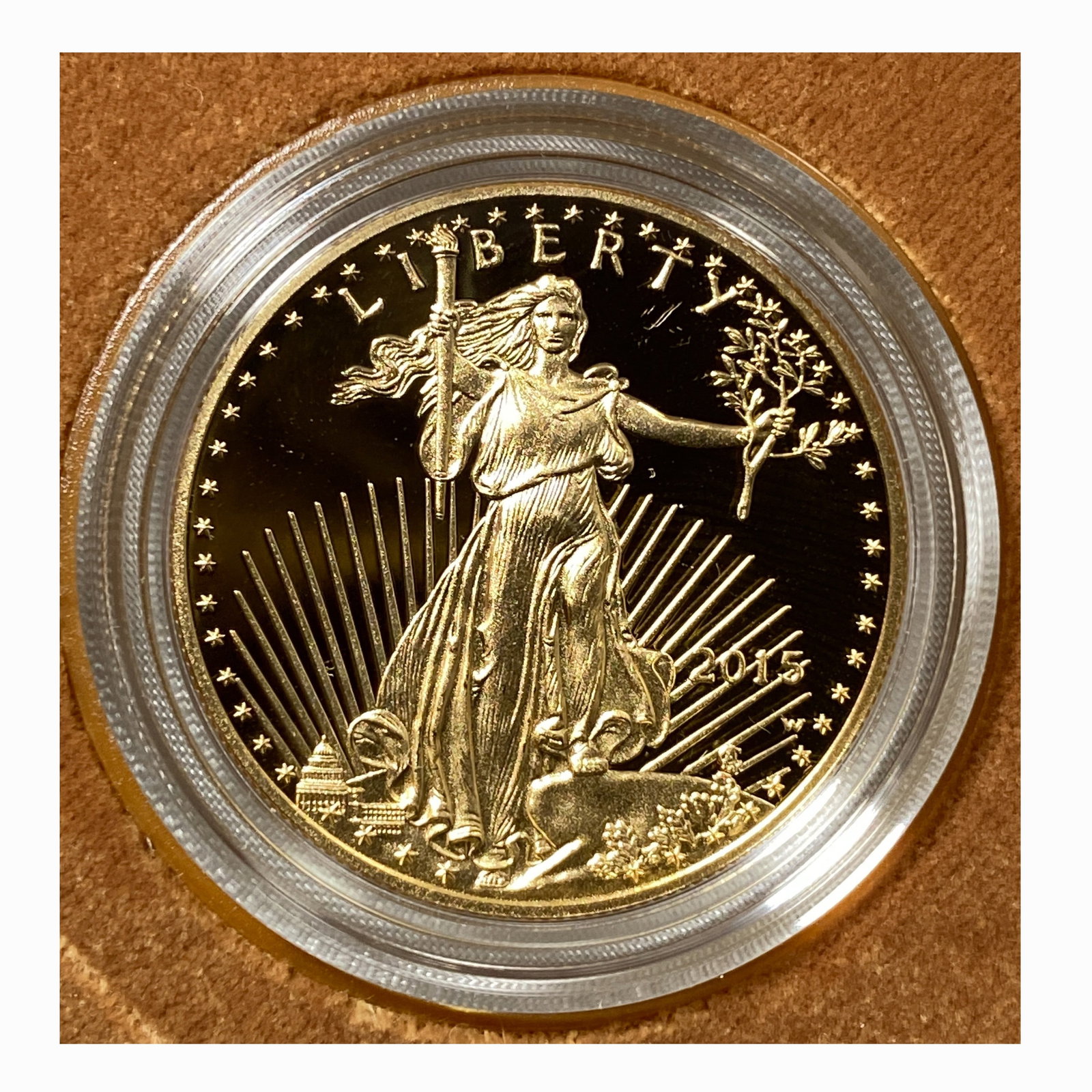 2015 American Eagle 1 oz Gold Proof Coin (1 of 2)
