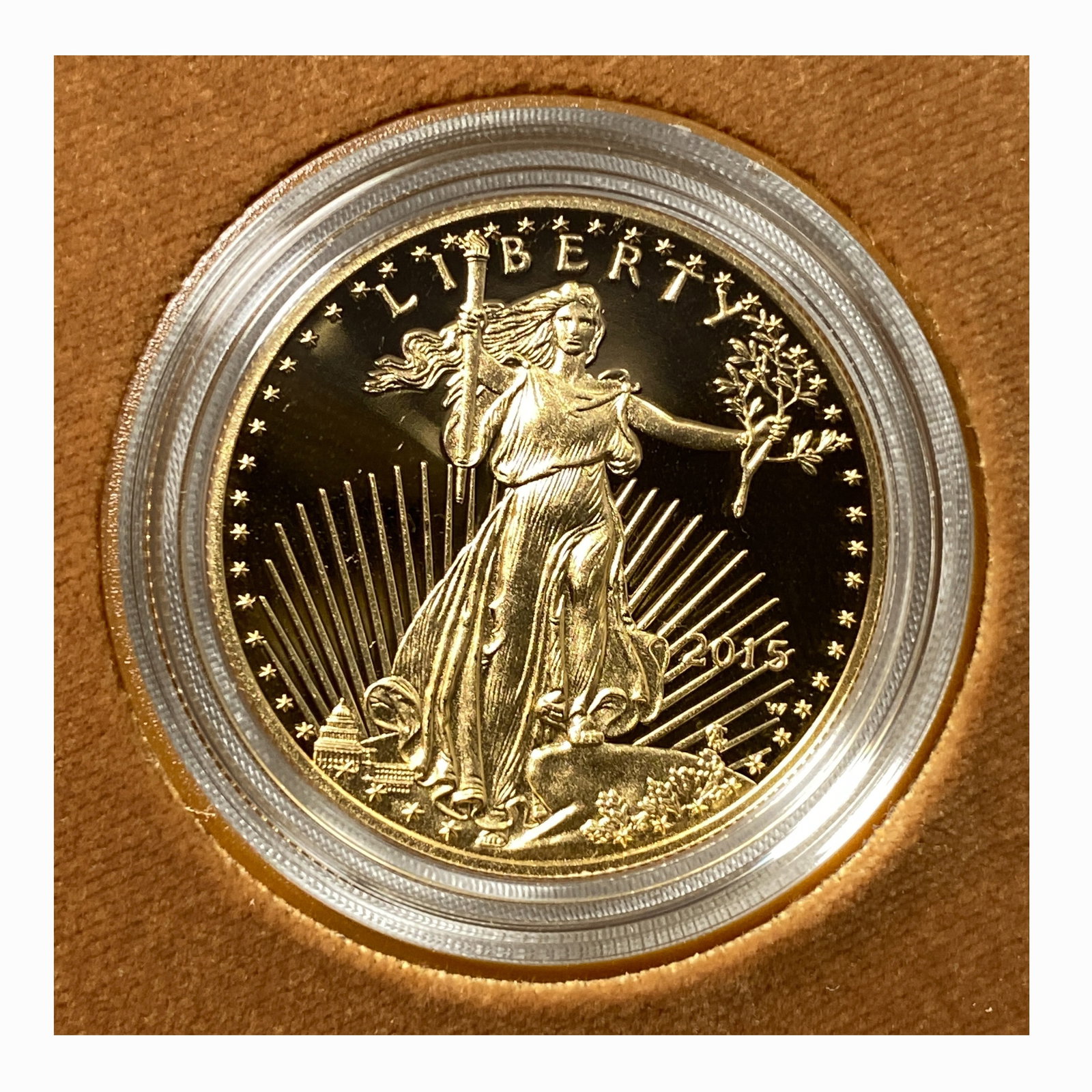 2015 American Eagle 1 oz Gold Proof Coin (1 of 2)