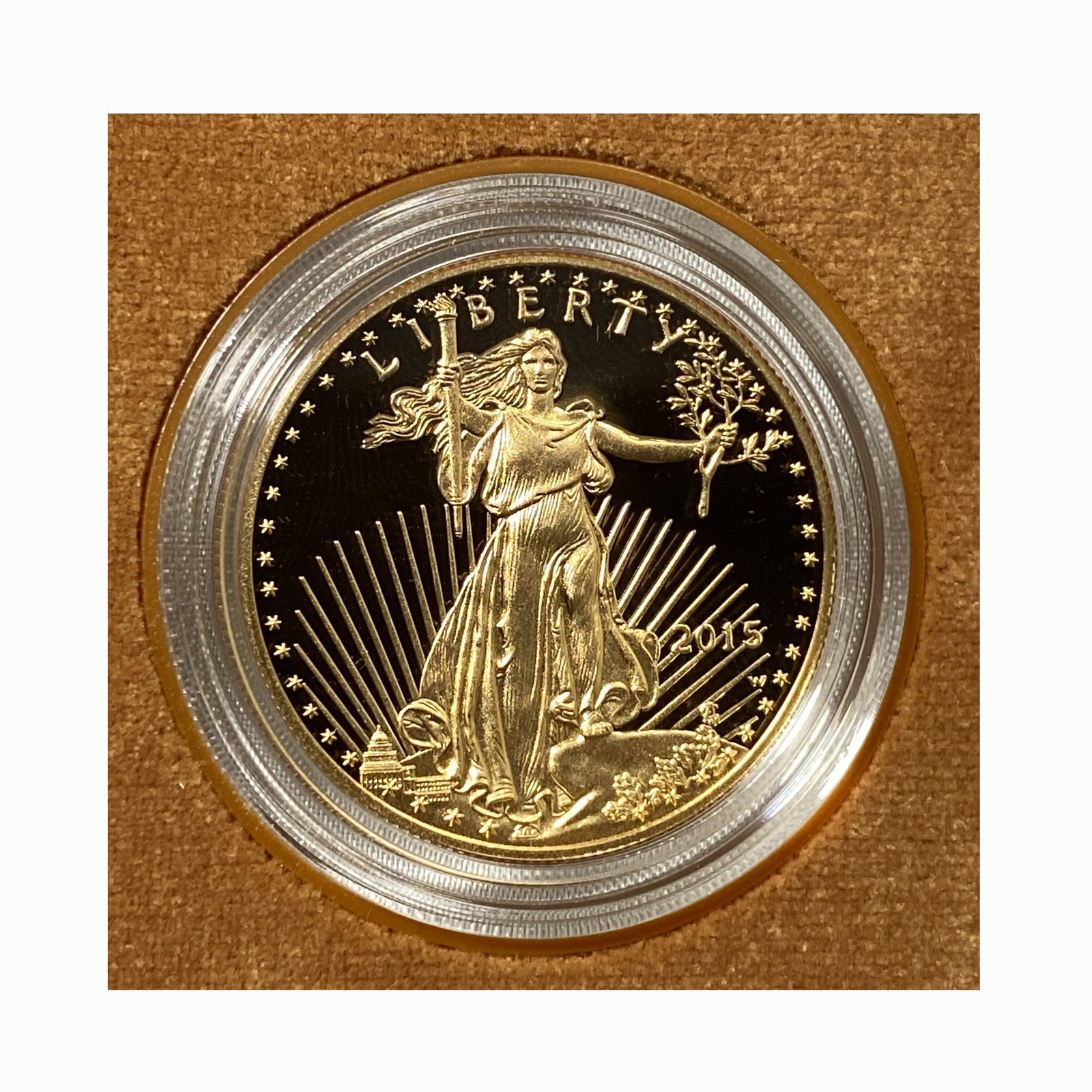 American Eagle 1 oz Gold Proof Coin (1 of 2)