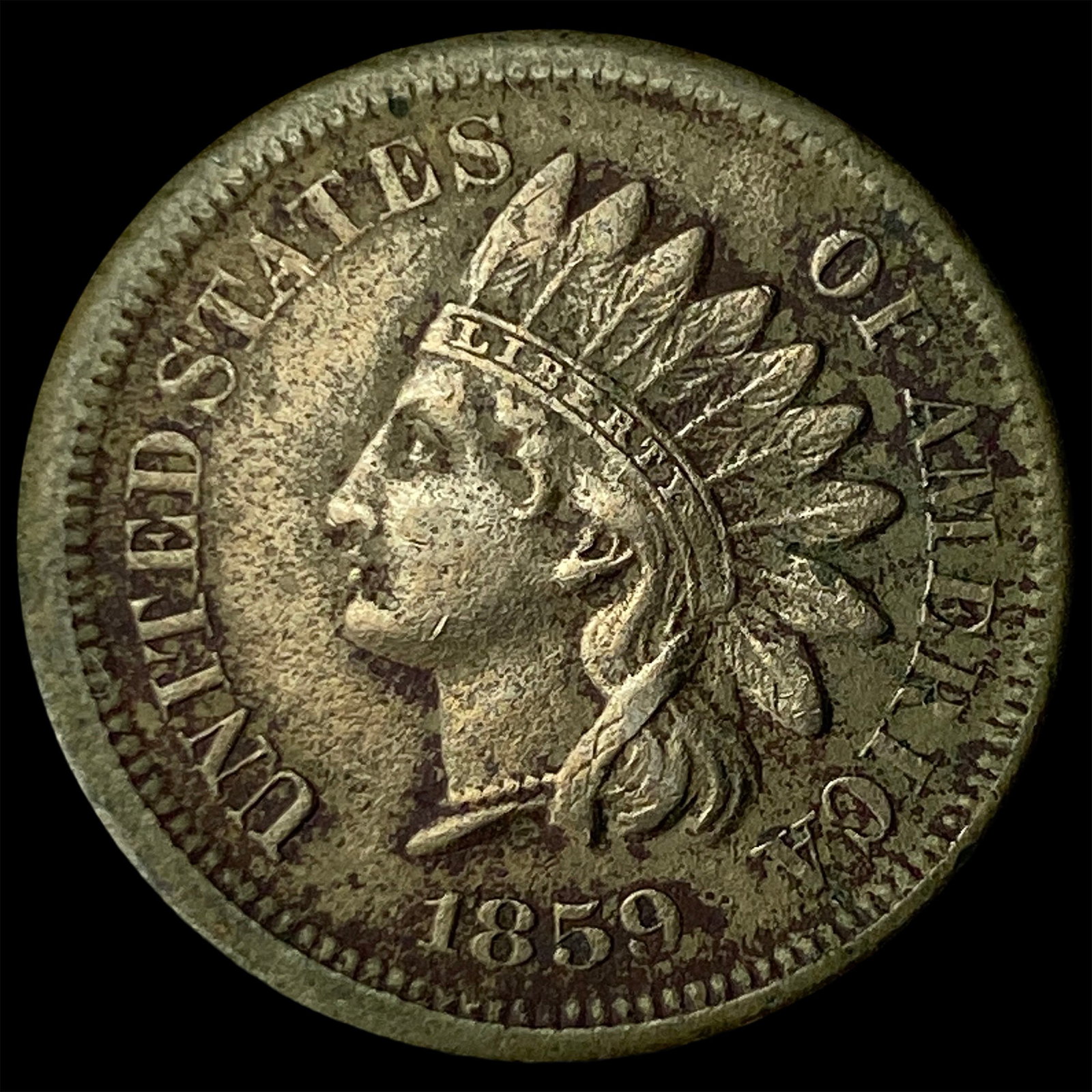 1859 Indian Head Cent ABOUT UNCIRCULATED: 1859 Indian Head Cent ABOUT UNCIRCULATED