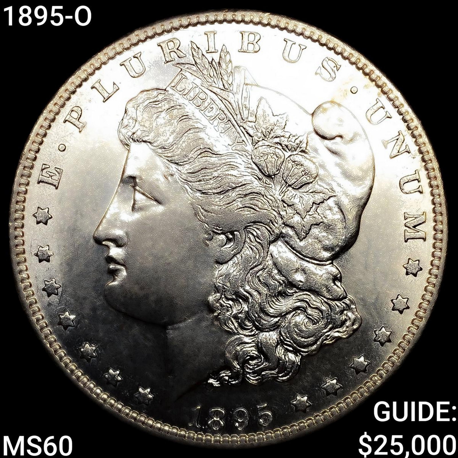 1895-O Morgan Silver Dollar (1 of 2)