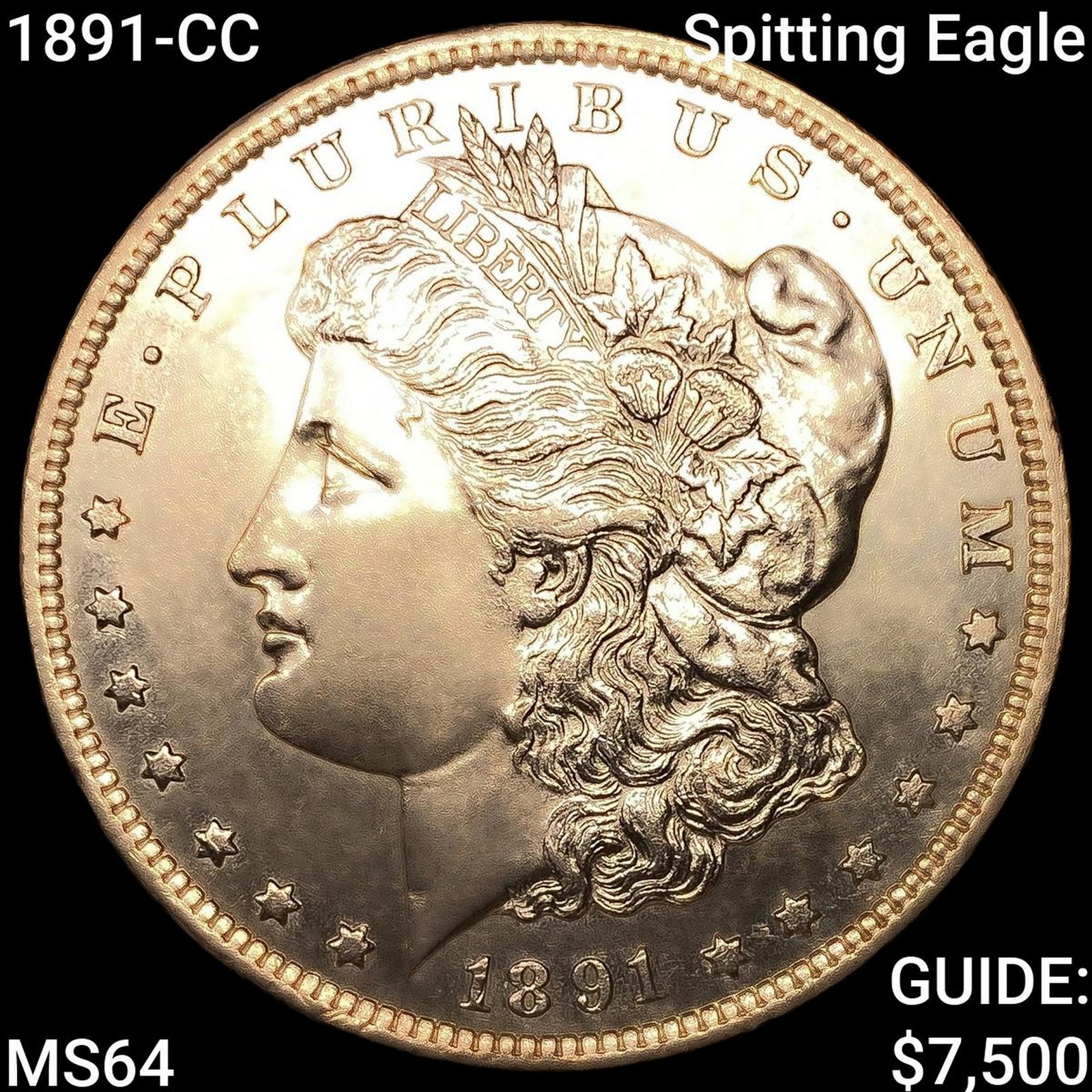 1891-CC Spitting Eagle Morgan Silver Dollar CHOICE BU (1 of 2)