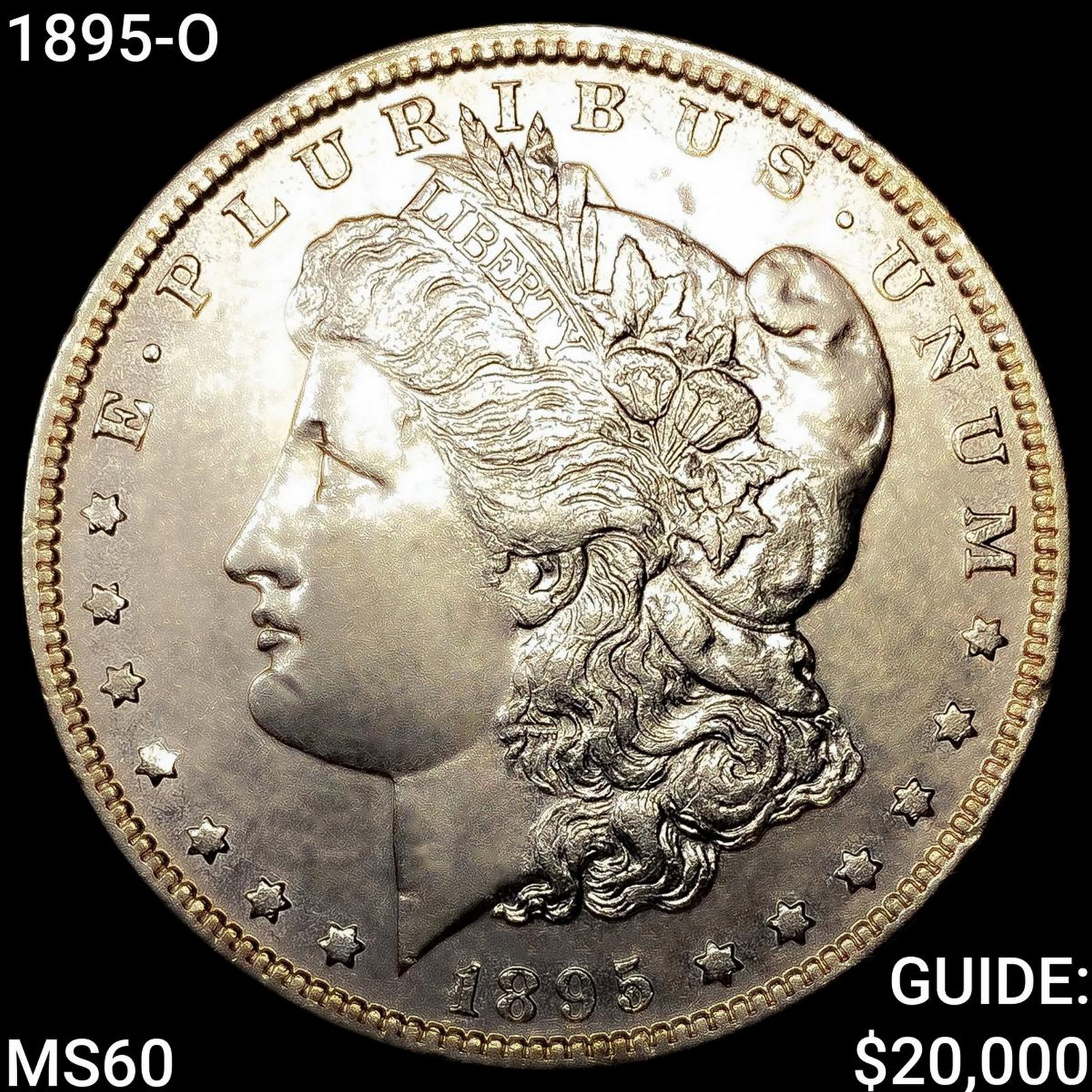 1895-O Morgan Silver Dollar (1 of 2)