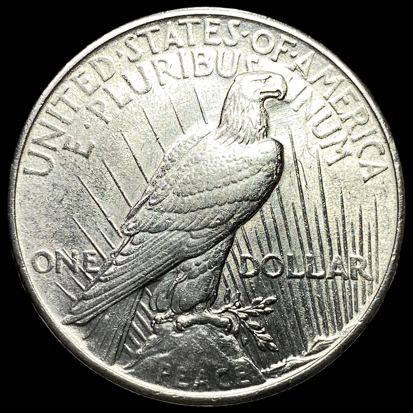 1925 Silver Peace Dollar CLOSELY UNCIRCULATED - 2