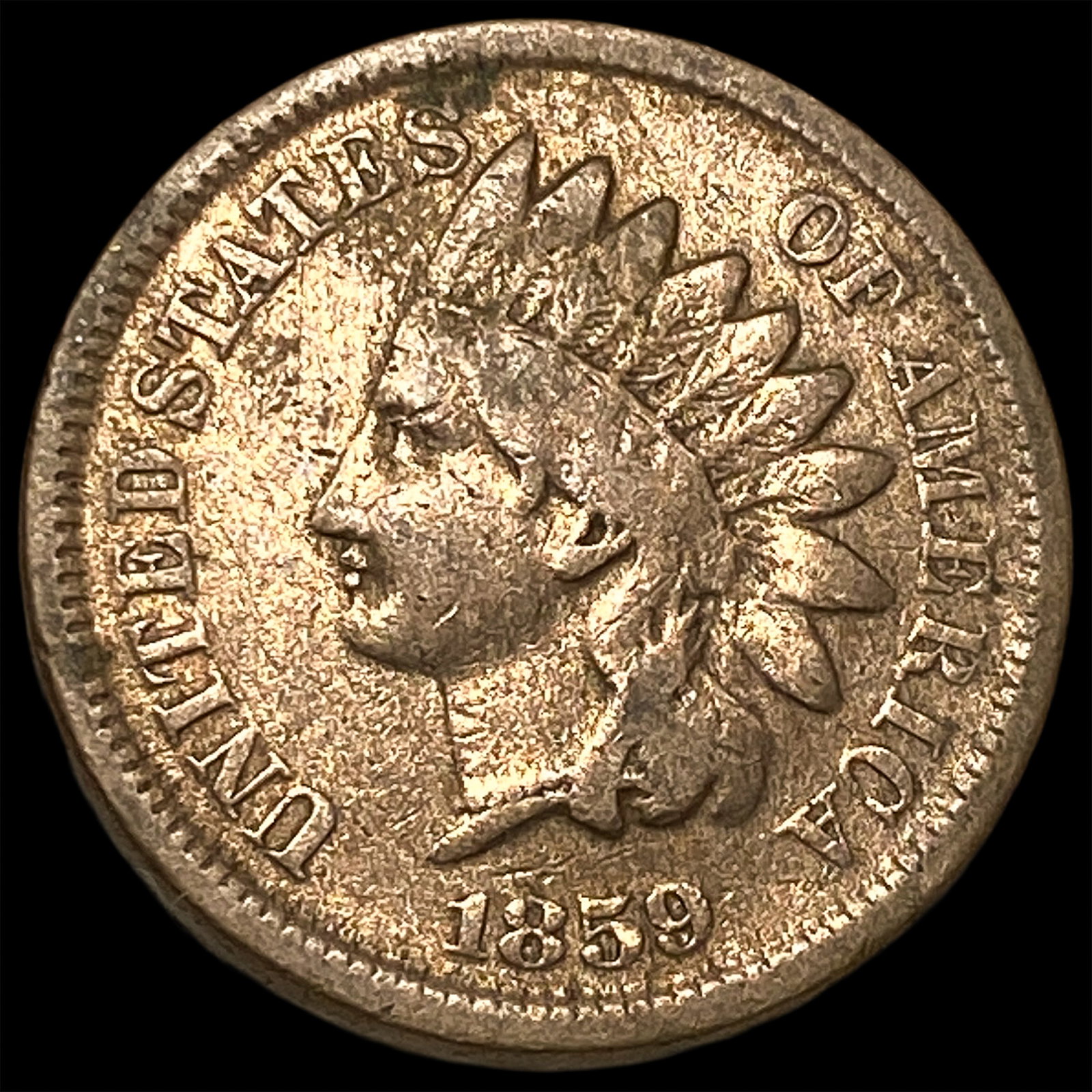 1859 Indian Head Cent LIGHTLY CIRCULATED: 1859 Indian Head Cent LIGHTLY CIRCULATED