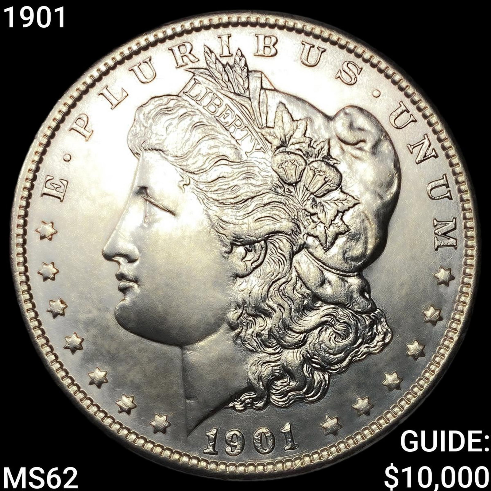 1901 Morgan Silver Dollar (1 of 2)