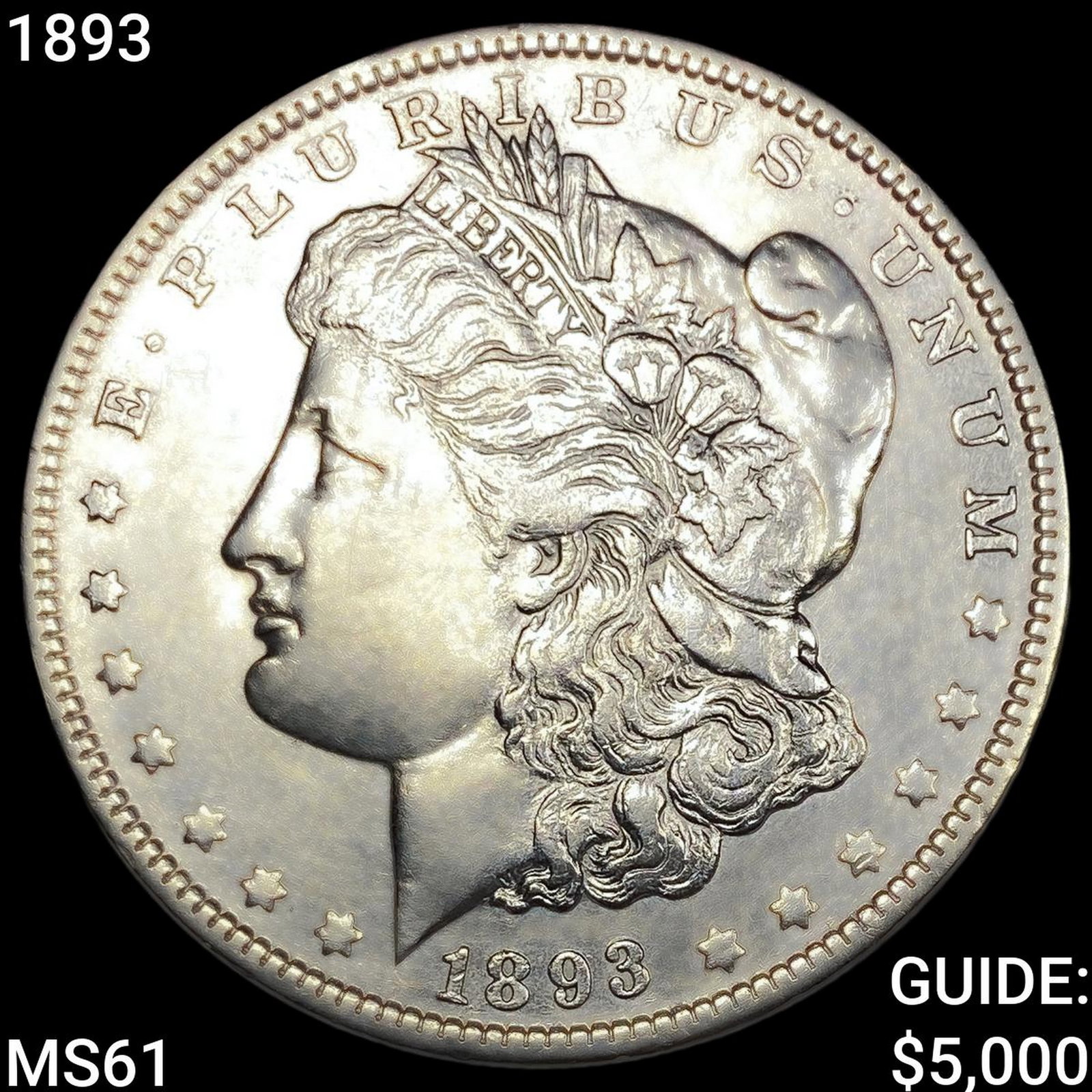 1893 Morgan Silver Dollar: 1893 Morgan Silver Dollar