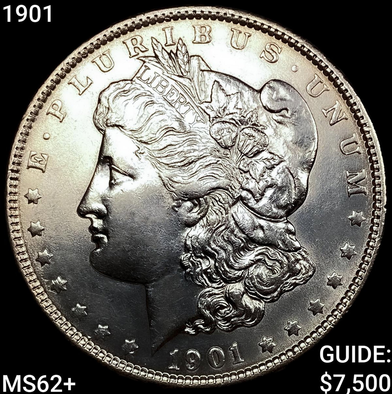 1901 Morgan Silver Dollar (1 of 2)