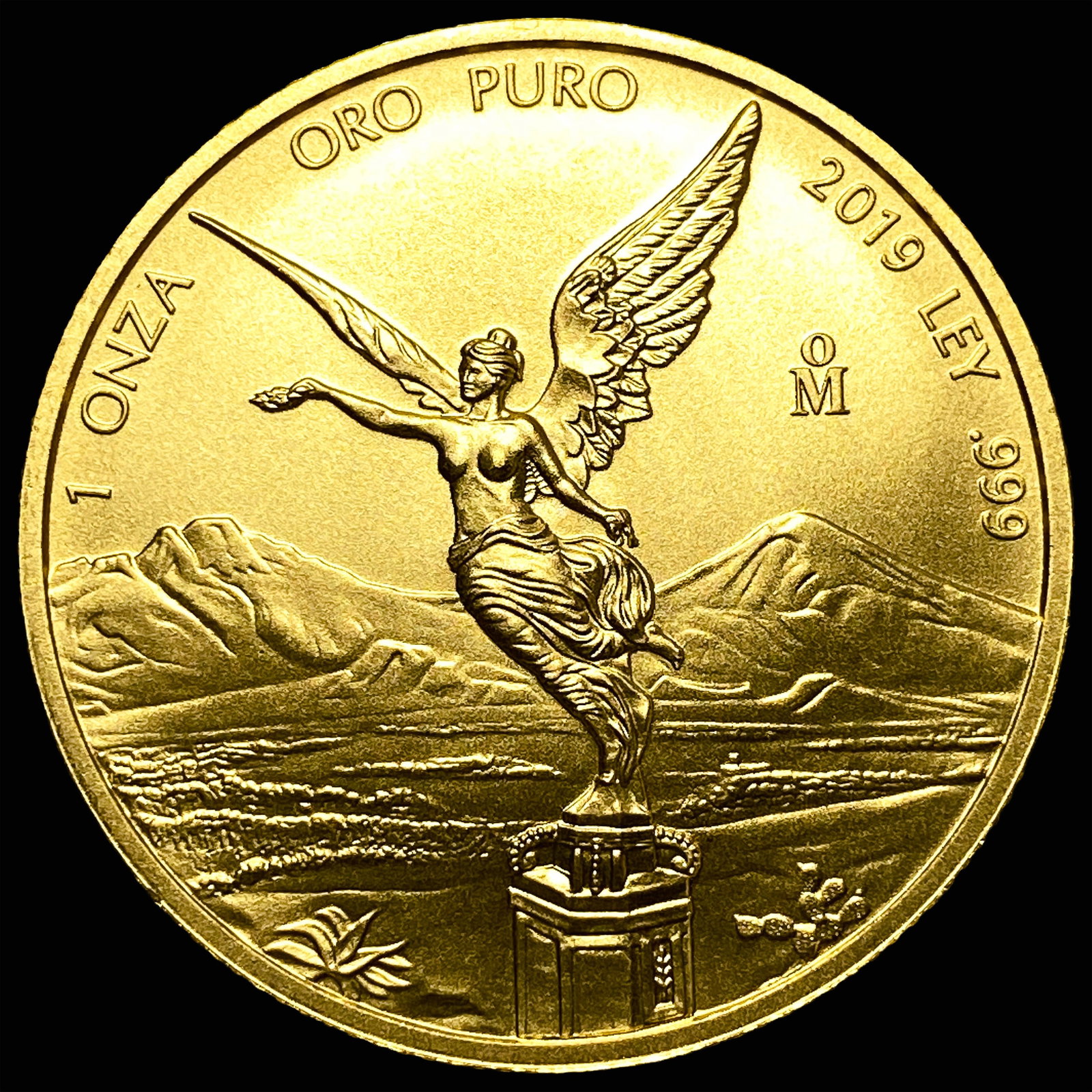 2019 Gold 1 Onza Mexican Libertad GEM BU (1 of 2)
