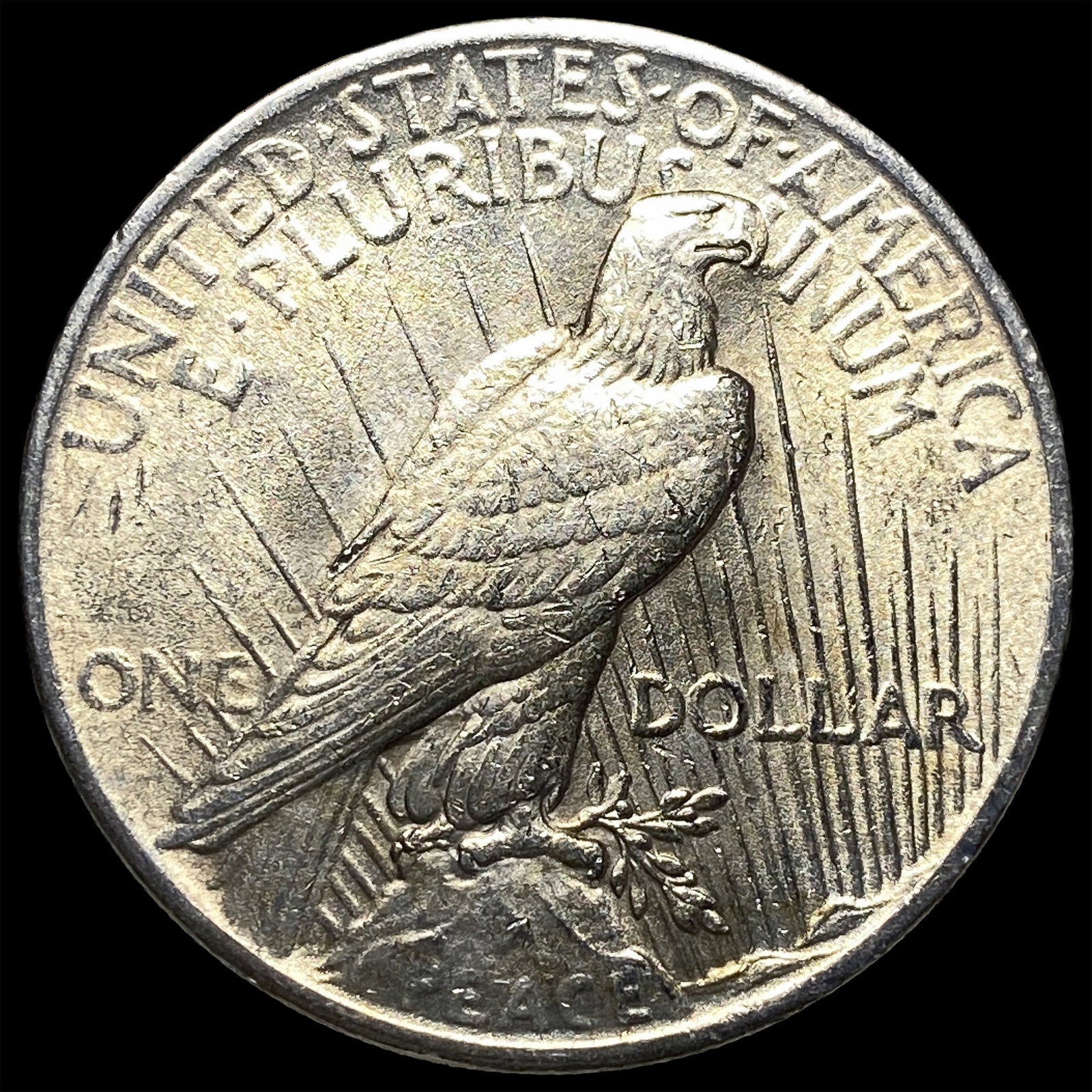 1925 Peace Silver Dollar UNCIRCULATED - 2