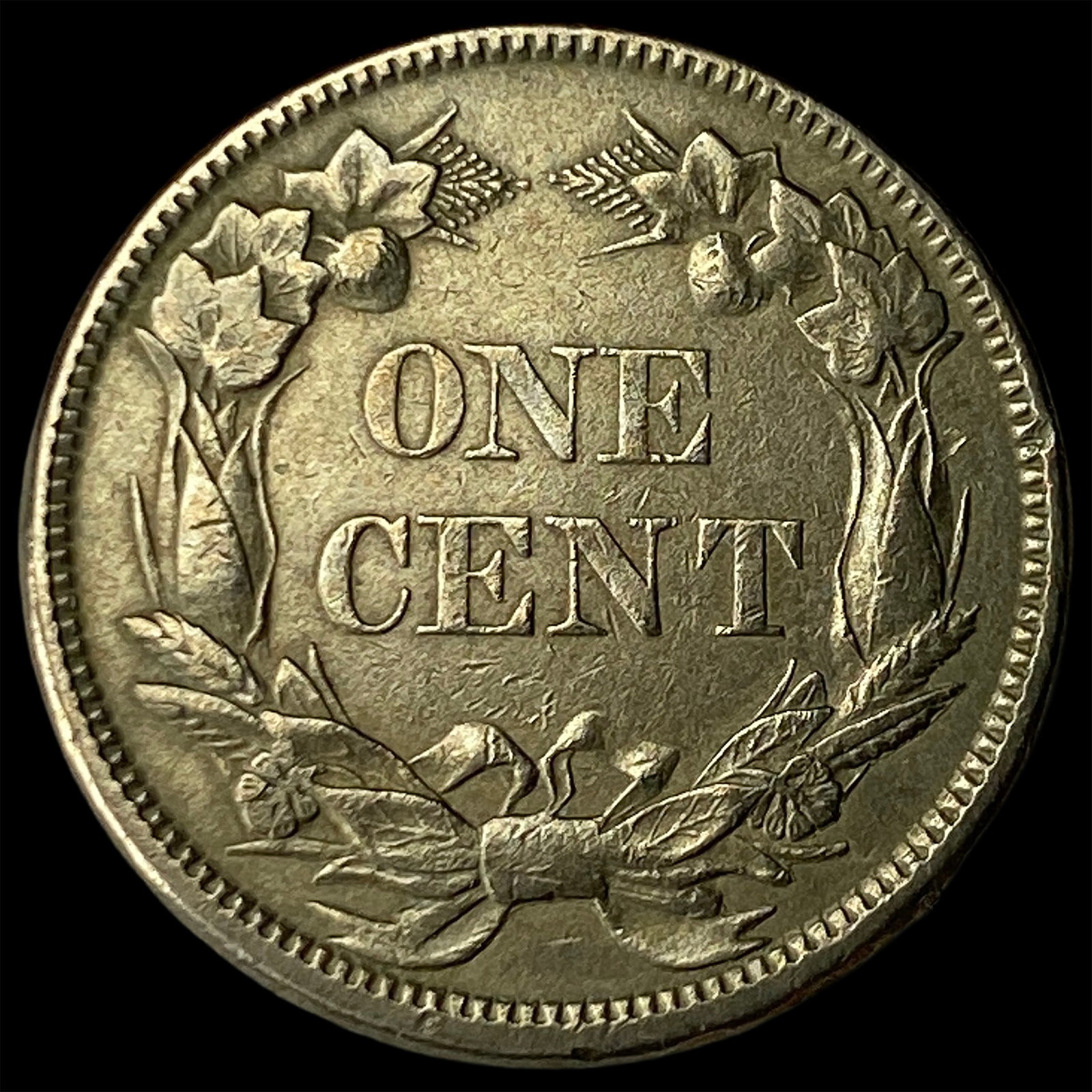 1858 Flying Eagle Cent NEARLY UNCIRCULATED - 2