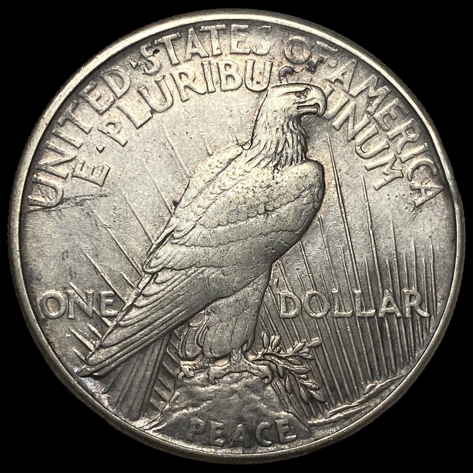 1921 Silver Peace Dollar NEARLY UNCIRCULATED - 2