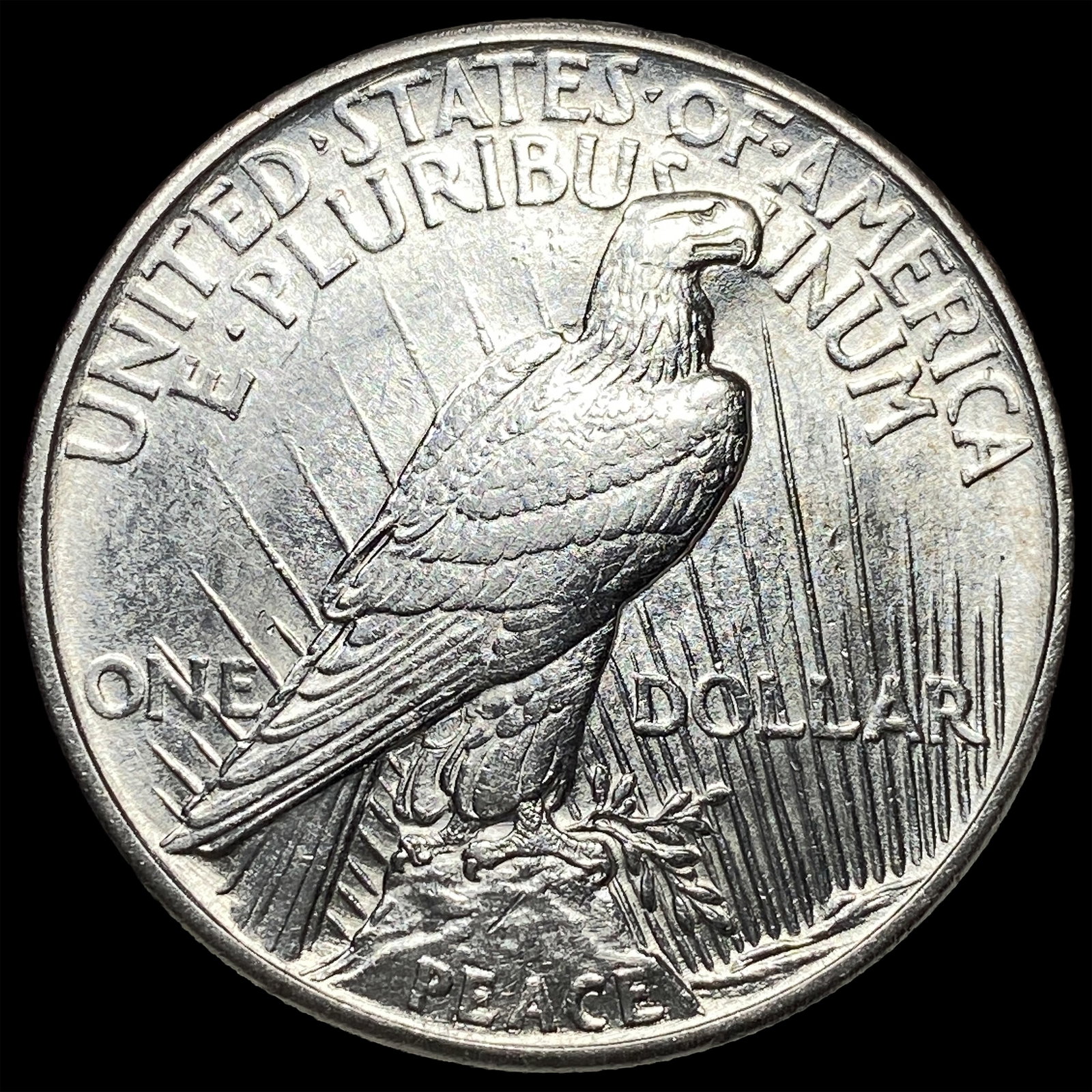 1921 Silver Peace Dollar CLOSELY UNCIRCULATED - 2