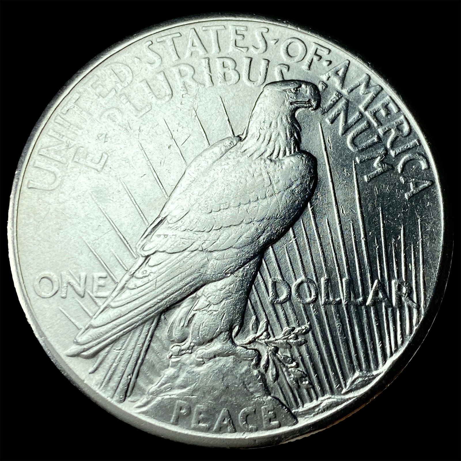 1928 Silver Peace Dollar CLOSELY UNCIRCULATED - 2