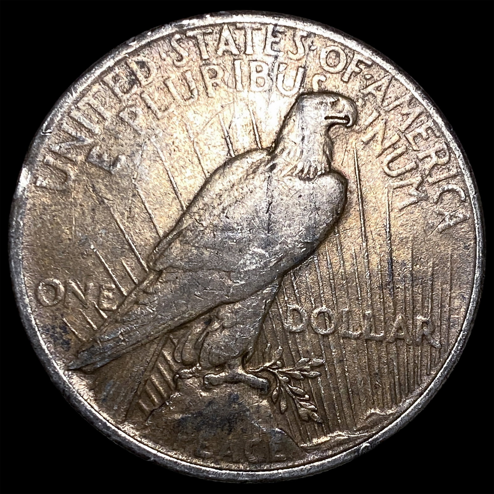 1924 Silver Peace Dollar LIGHTLY CIRCULATED - 2