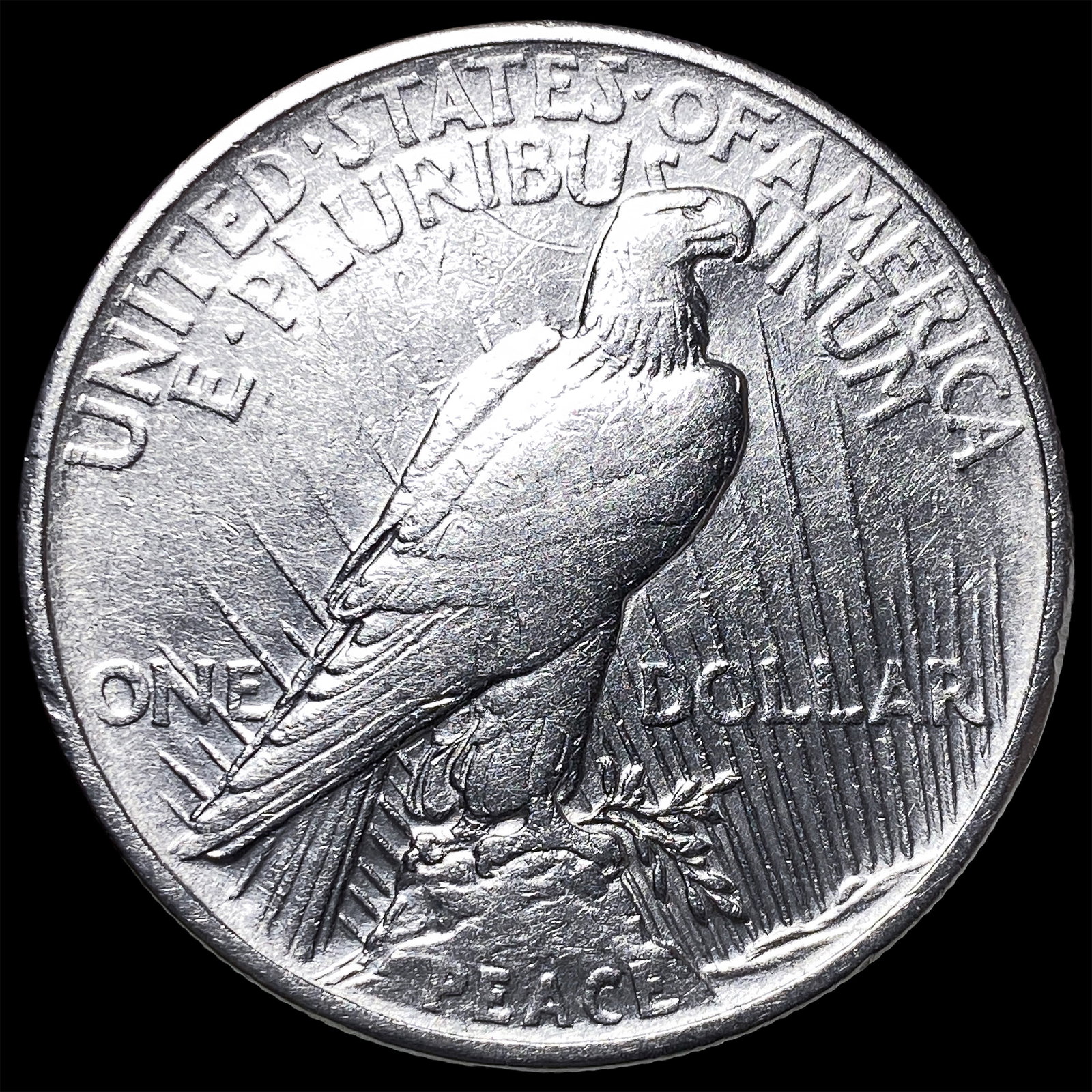 1921 Silver Peace Dollar CLOSELY UNCIRCULATED - 2