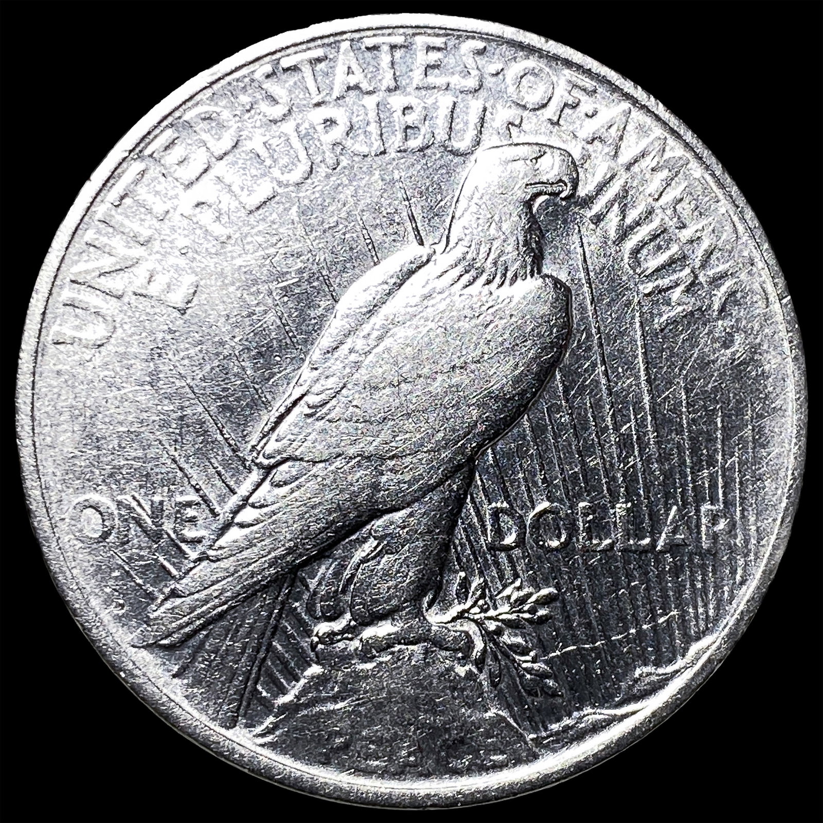 1923 Silver Peace Dollar CLOSELY UNCIRCULATED - 2