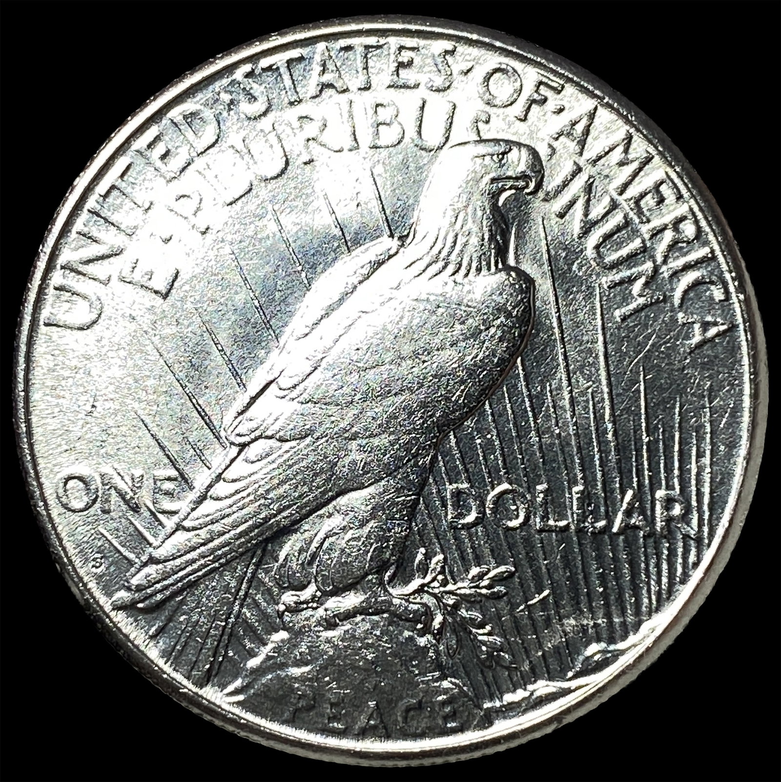 1925 Peace Silver Dollar CLOSELY UNCIRCULATED - 2