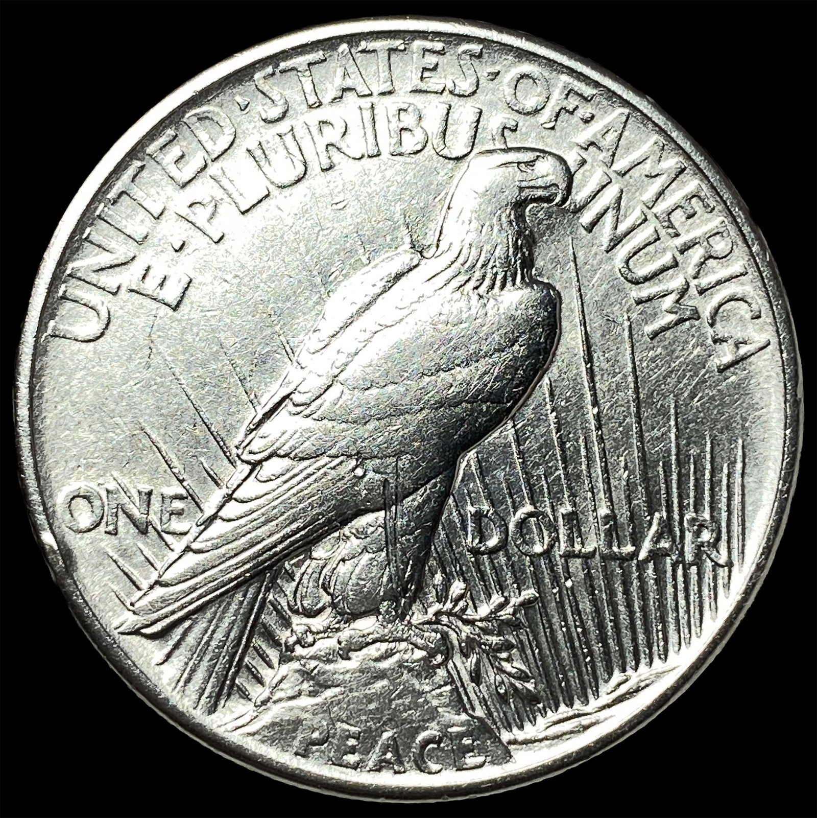 1921 Silver Peace Dollar CLOSELY UNCIRCULATED - 2