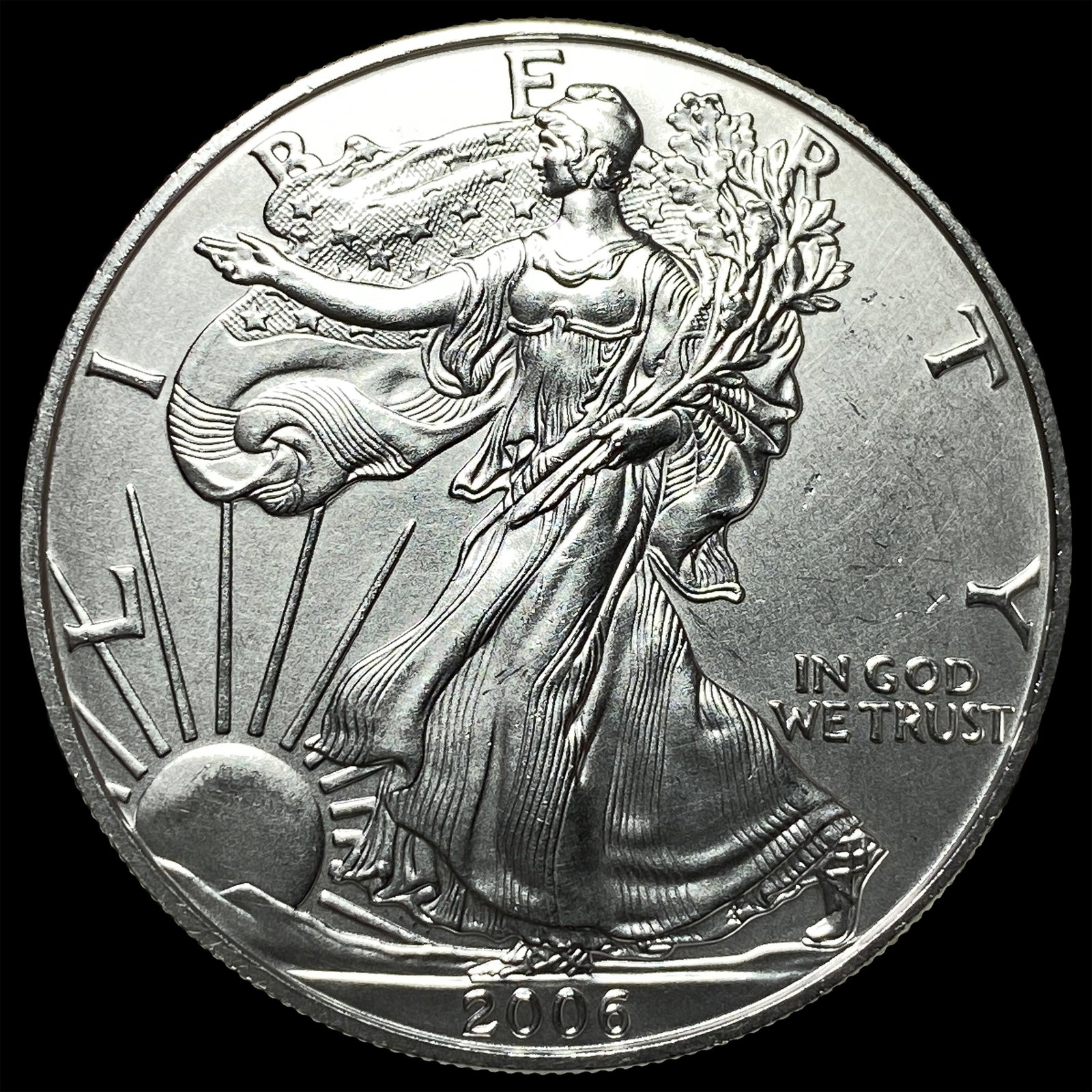 2006-W 1 oz Silver American Eagle SUPERB GEM BU (1 of 2)