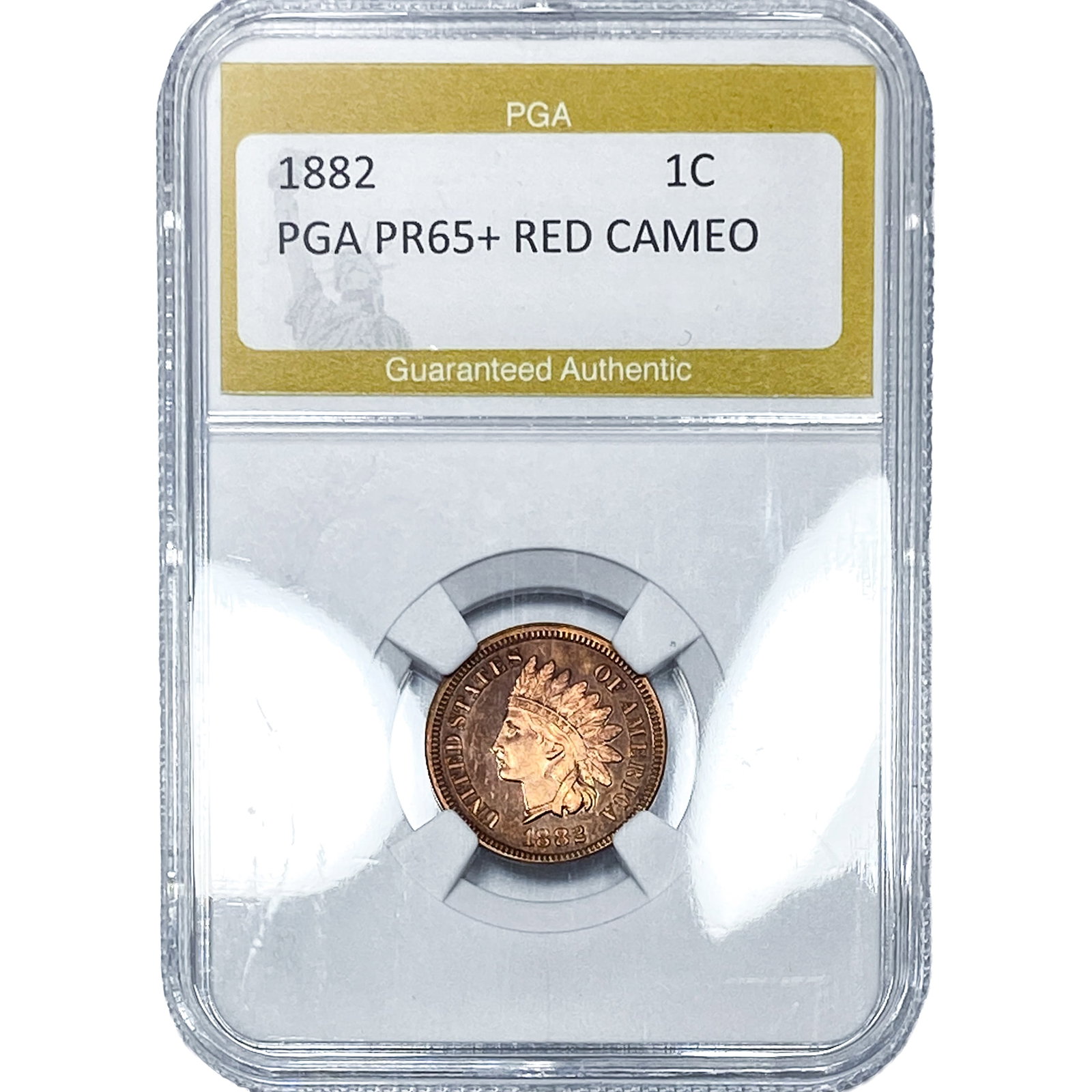 1882 Indian Head Cent PGA PR65+ Red Cameo: 1882 Indian Head Cent PGA PR65+ Red Cameo