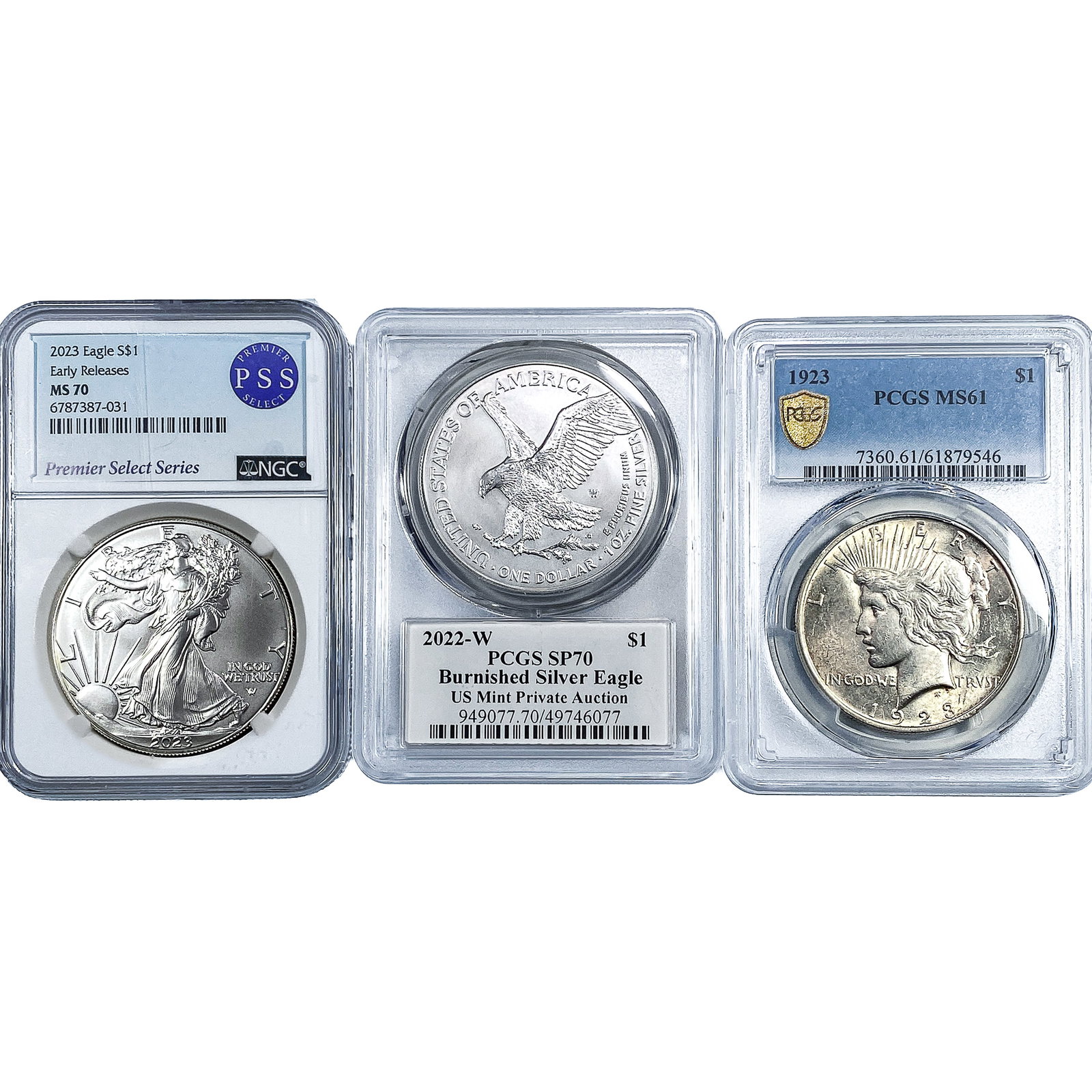 [3] 1923-2023 Silver Eagle and Silver Peace Dollar Lot NGC/PCGS: [3] 1923-2023 Silver Eagle and Silver Peace Dollar Lot NGC/PCGS