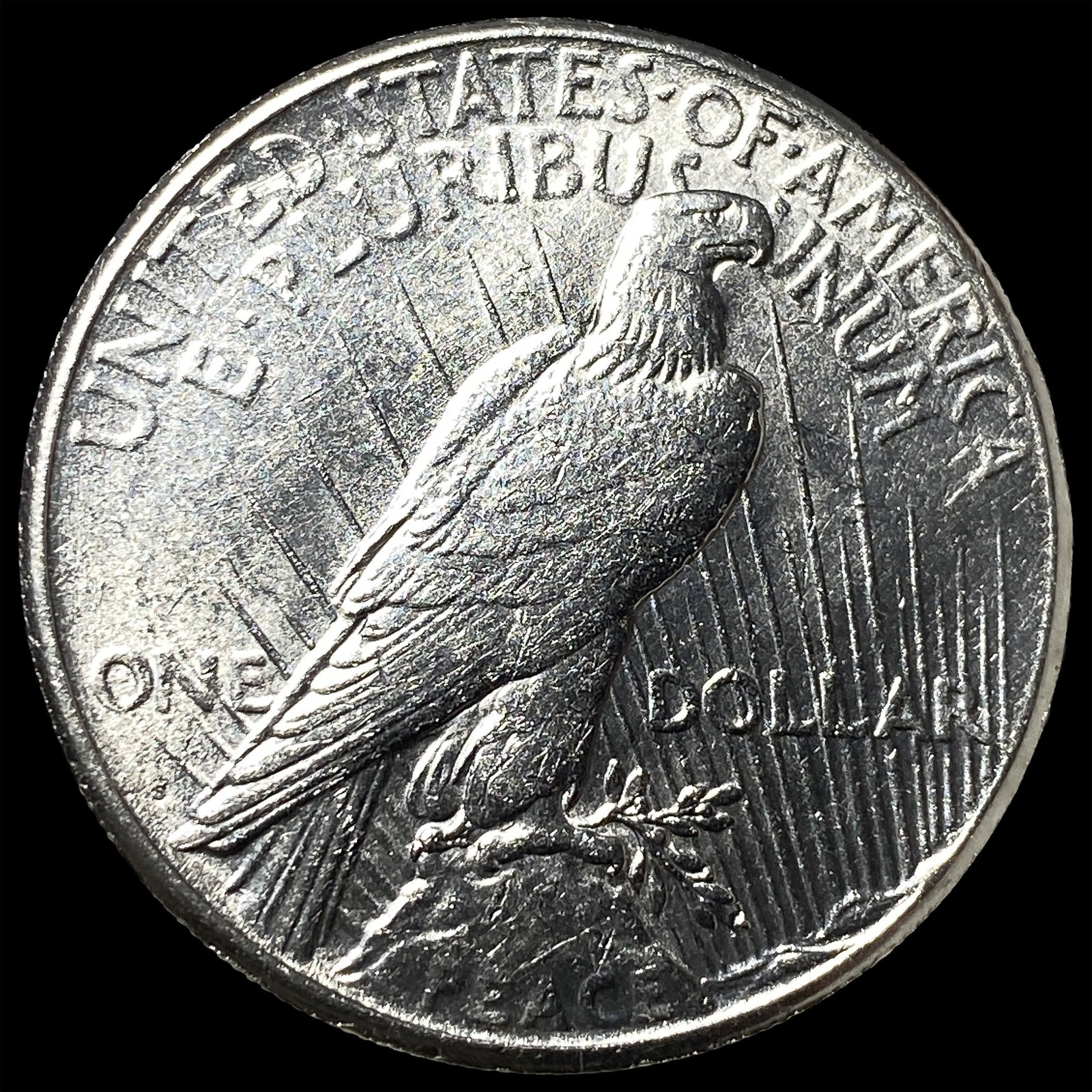 1925 Silver Peace Dollar UNCIRCULATED - 2