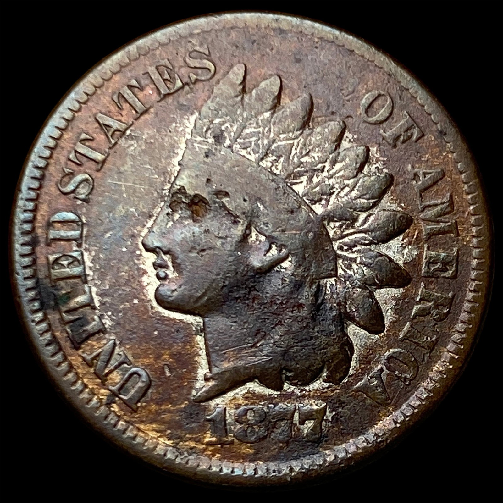 1877 Indian Head Cent NICELY CIRCULATED: 1877 Indian Head Cent NICELY CIRCULATED