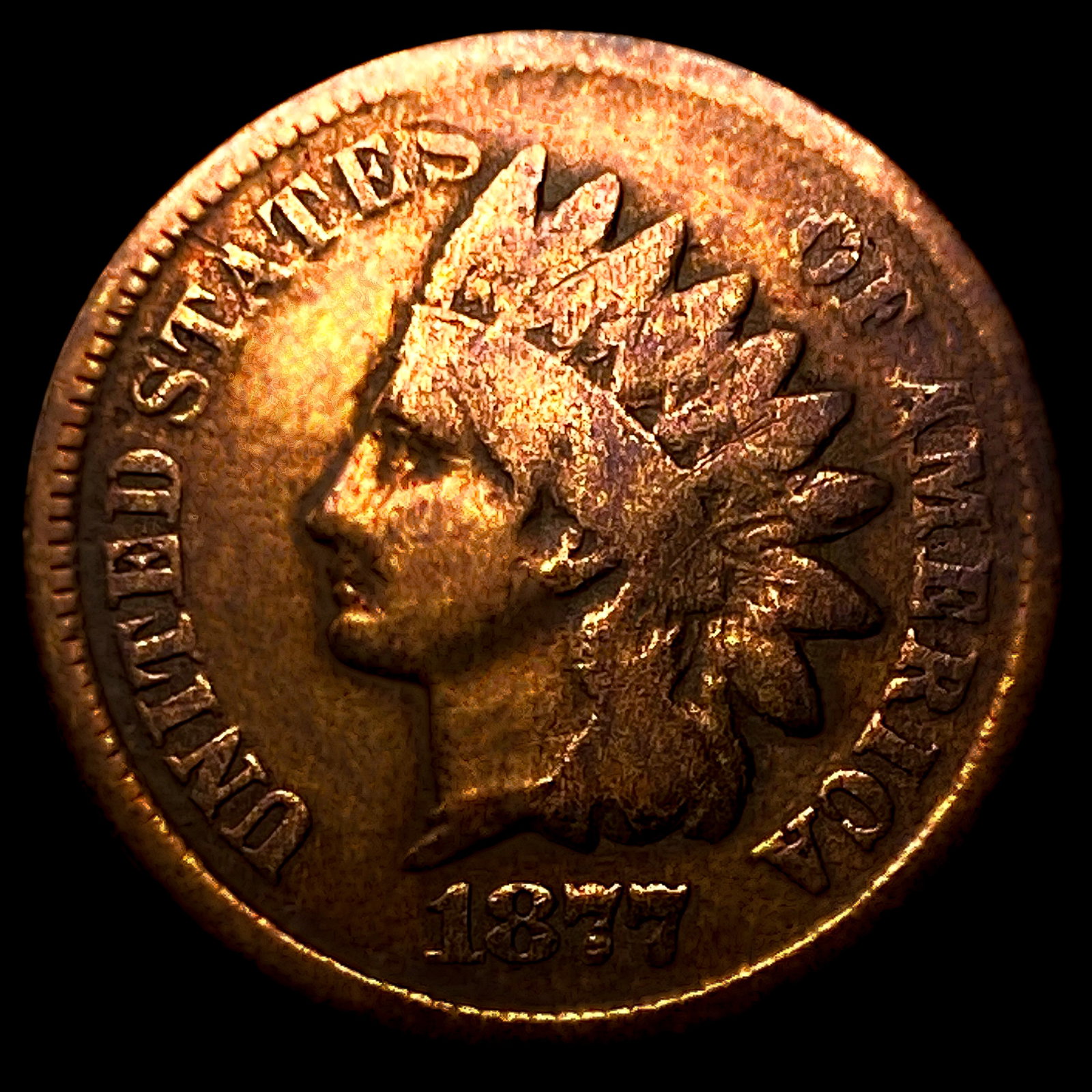 1877 Indian Head Cent: 1877 Indian Head Cent