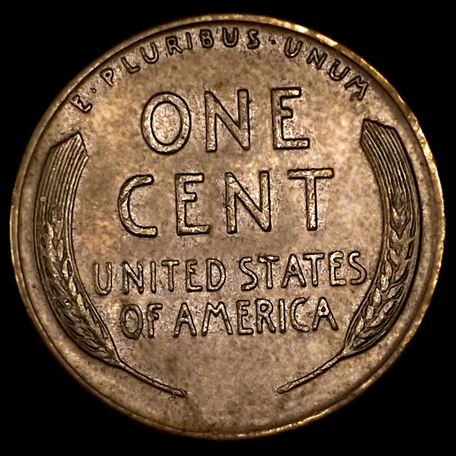 1955 DDO Wheat Cent - 2