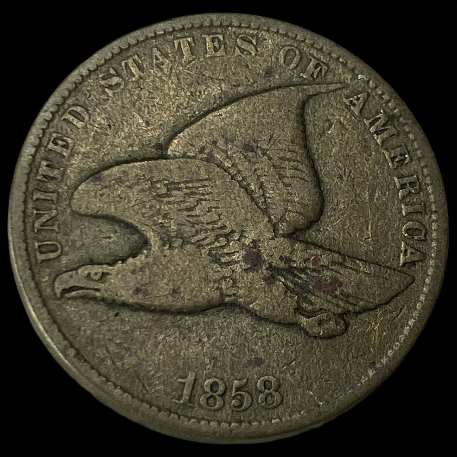 1858 Flying Eagle Cent NEARLY UNCIRCULATED: 1858 Flying Eagle Cent NEARLY UNCIRCULATED