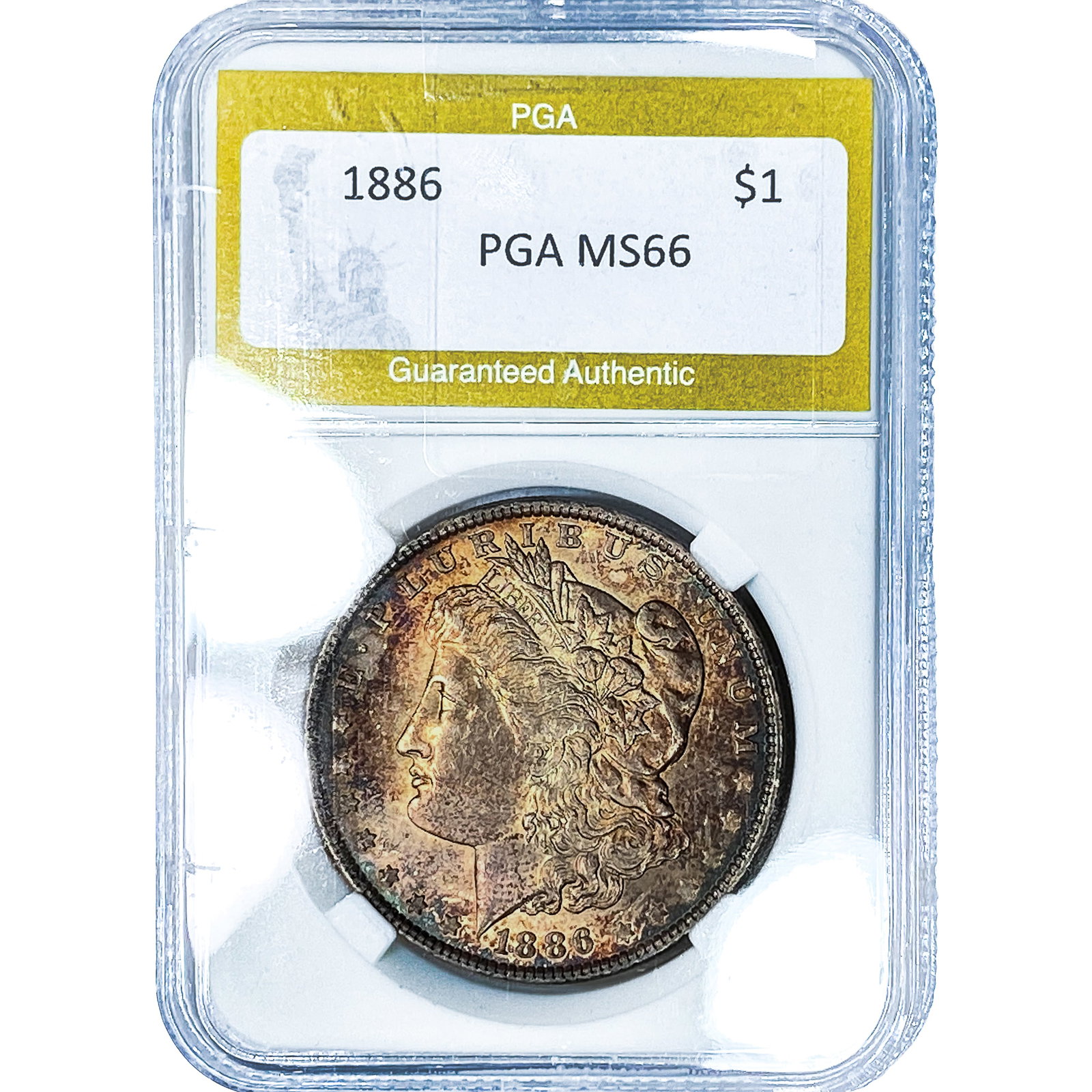 1886 Morgan Silver Dollar PGA MS66: 1886 Morgan Silver Dollar PGA MS66