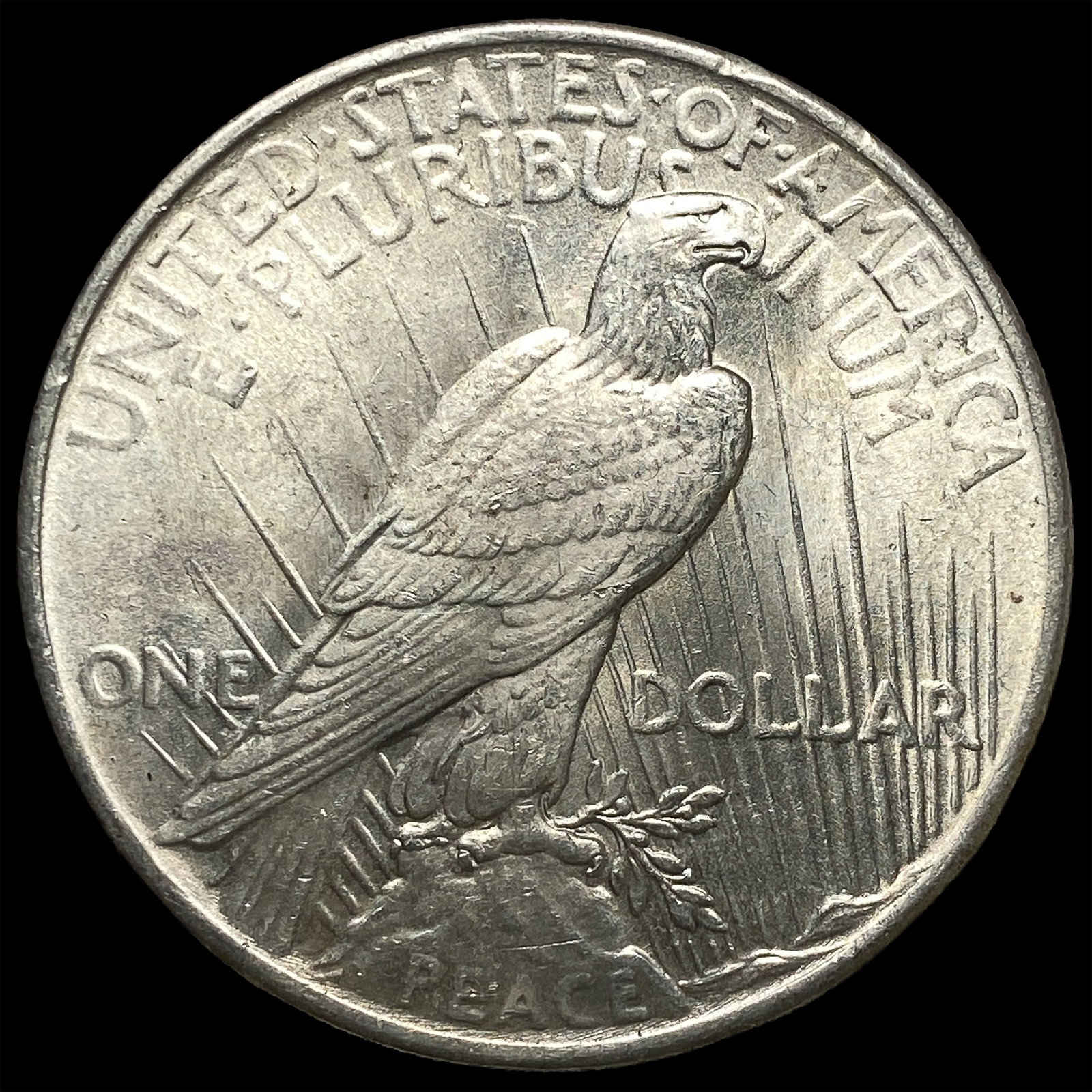 1925 Peace Silver Dollar CHOICE BU - 2